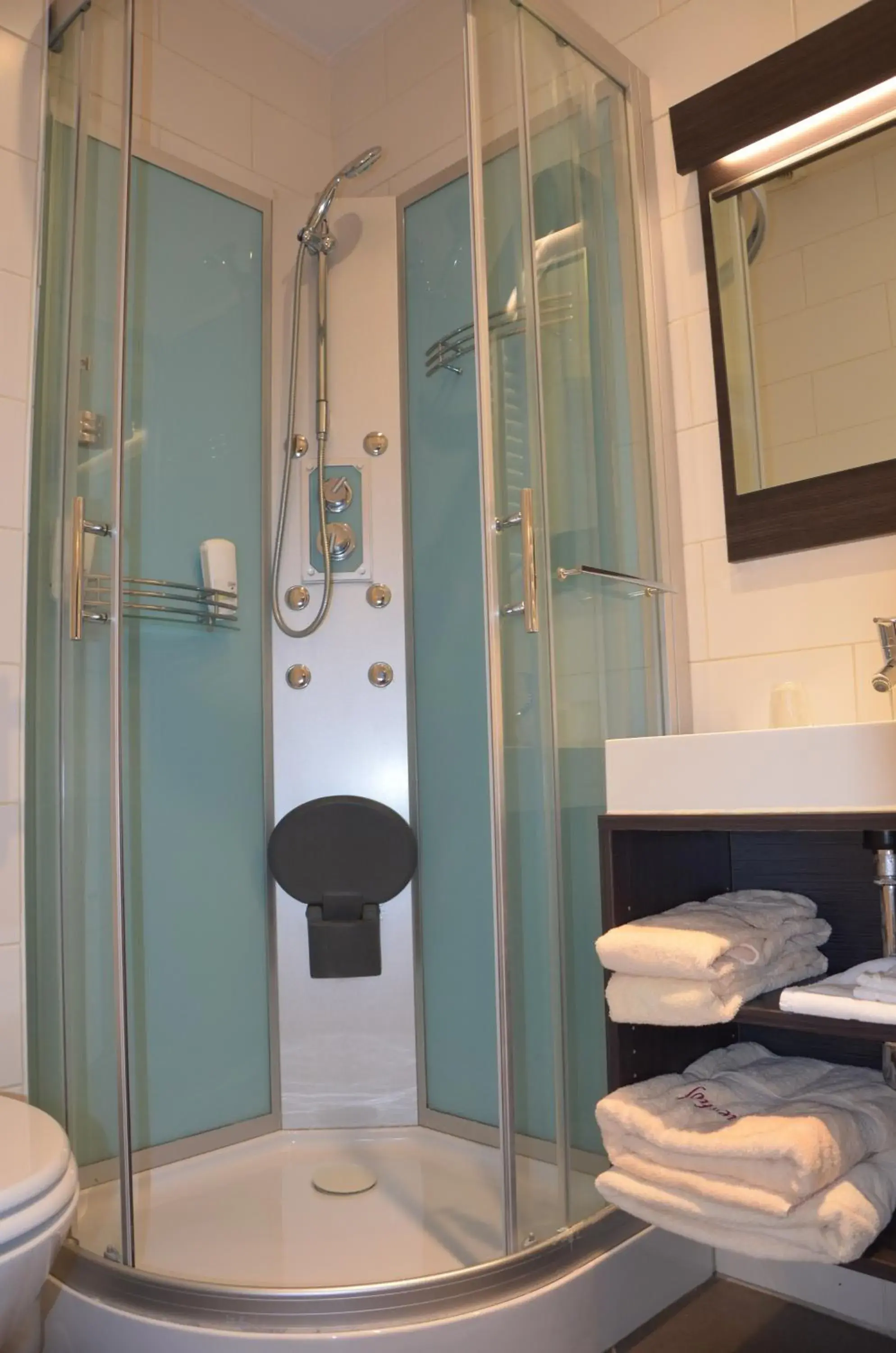 Single Room in Hotel Aulnenhof Single Room in Hotel Aulnenhof