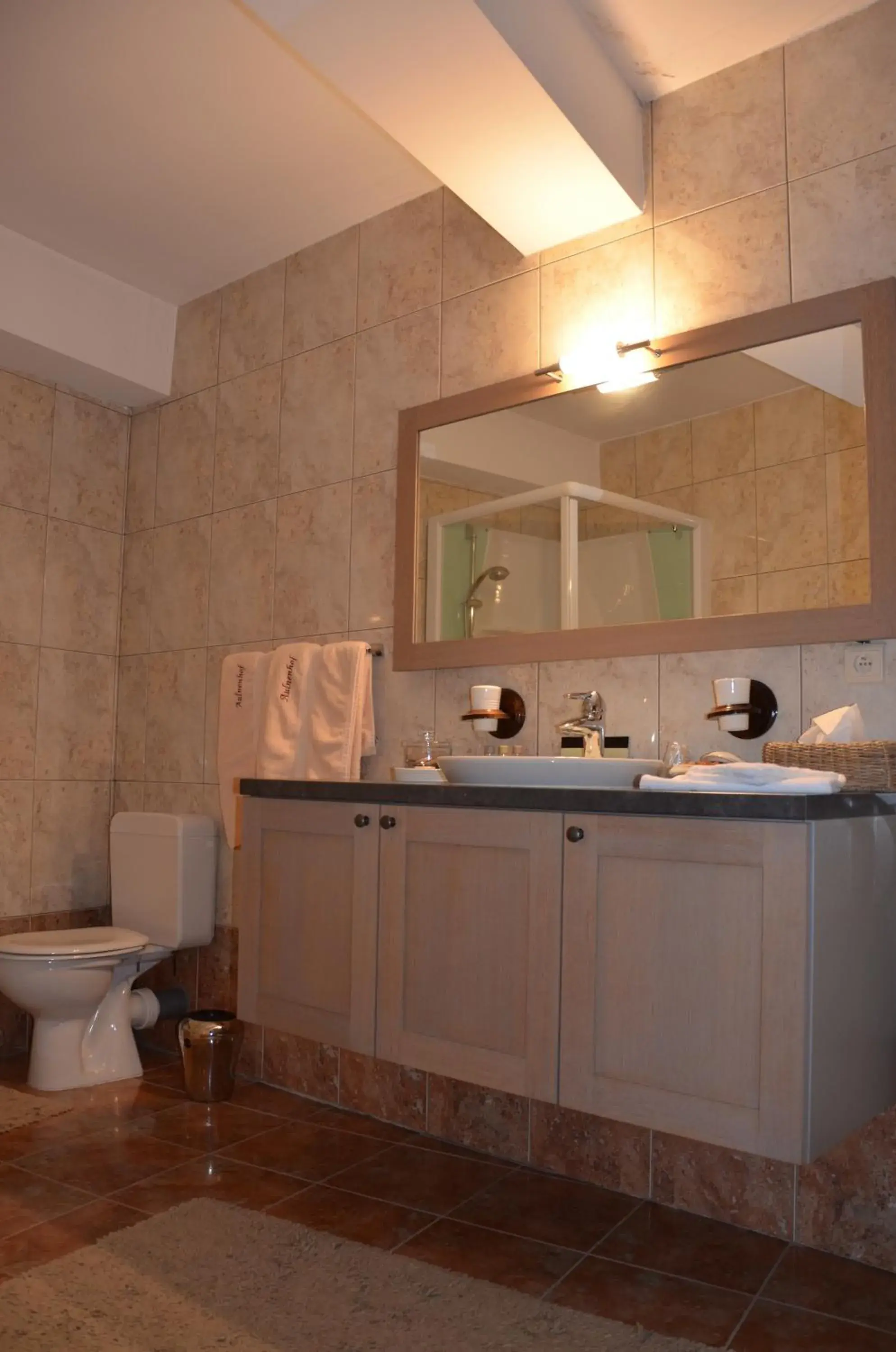 Standard Double Room in Hotel Aulnenhof Standard Double Room in Hotel Aulnenhof