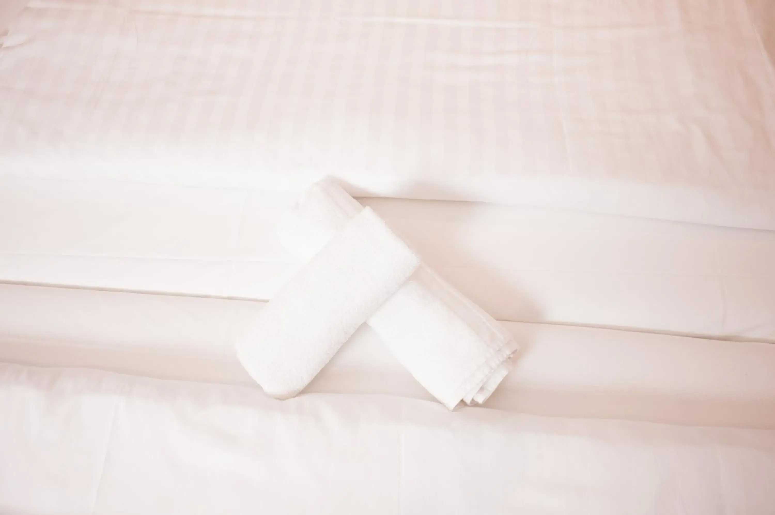 Single Room - Disability Access in Hotel Restaurant Zehntscheune Single Room - Disability Access in Hotel Restaurant Zehntscheune