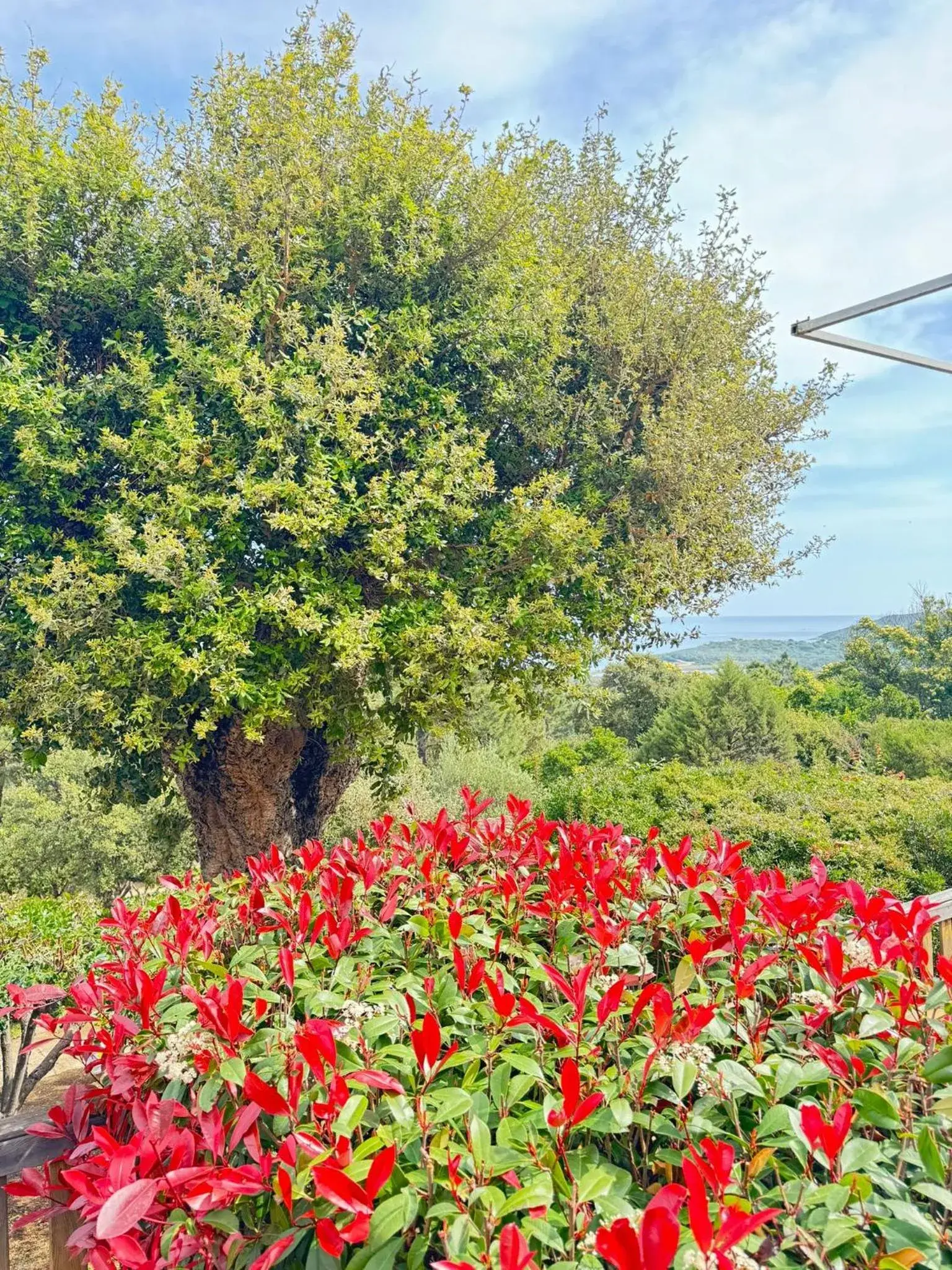 Studio in Résidence U Pirellu Studio in Résidence U Pirellu