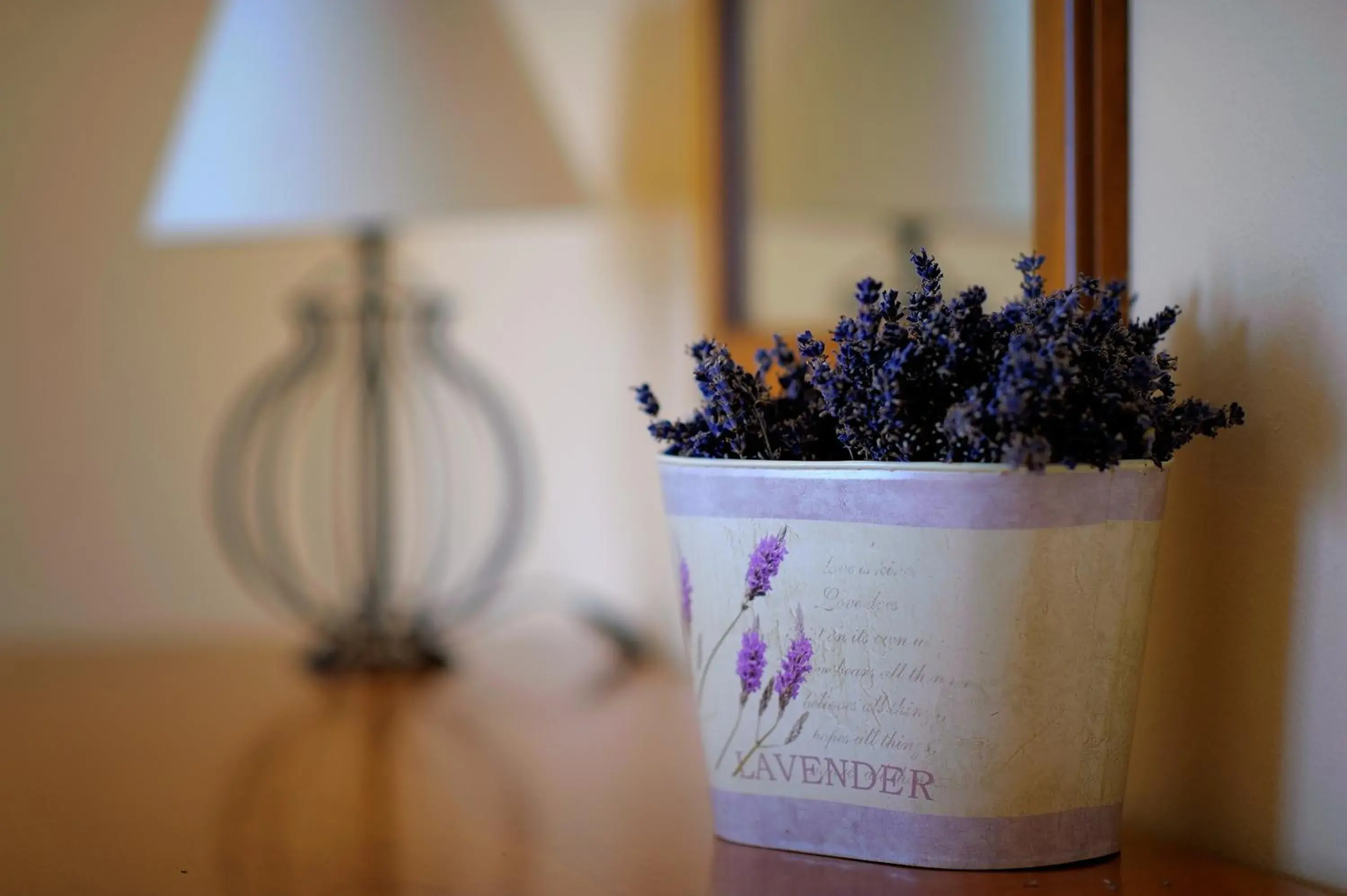 Suite with Spa Access in Penzion Tematin Suite with Spa Access in Penzion Tematin