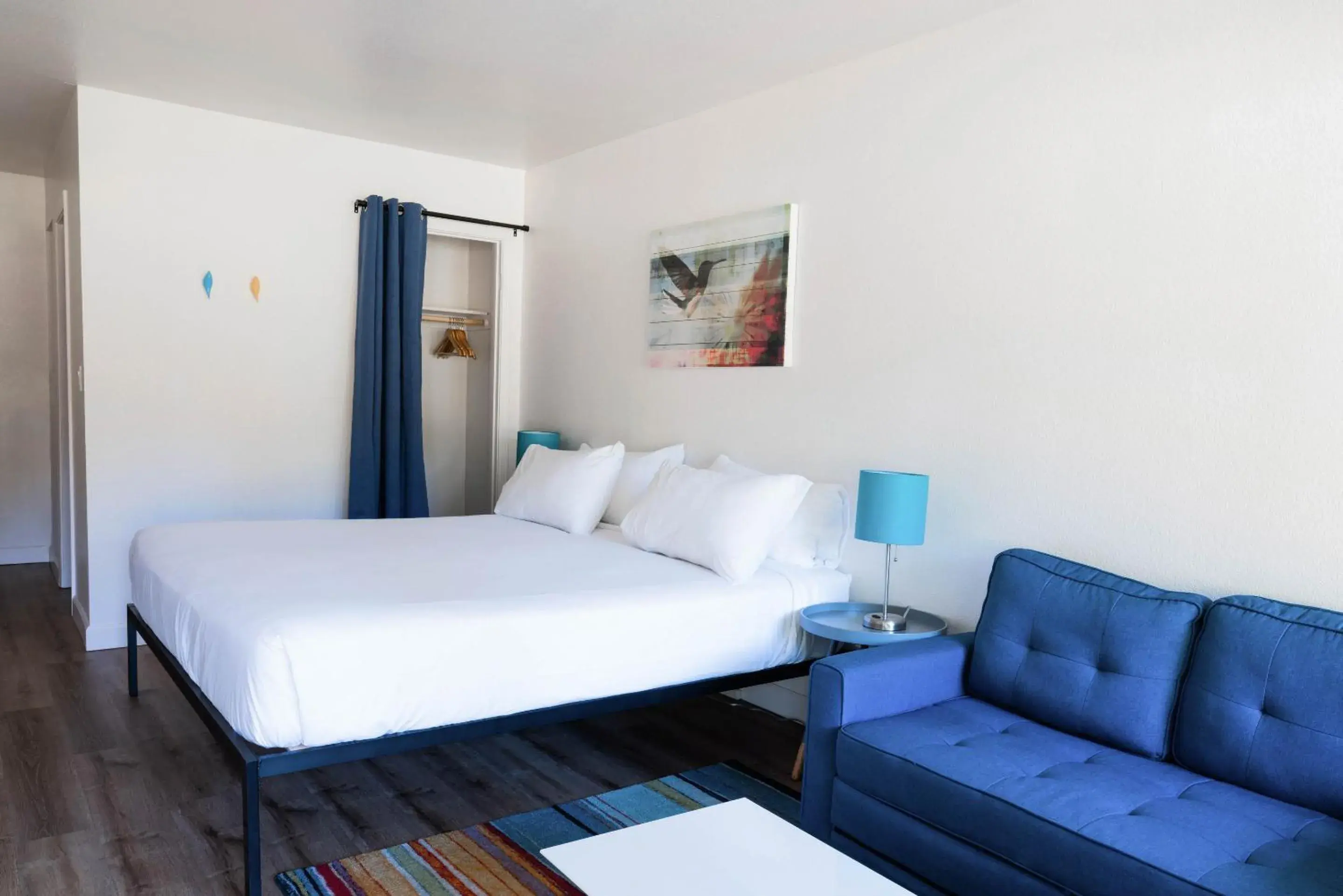 Bohemian King in Casa Secoya Bohemian King in Casa Secoya