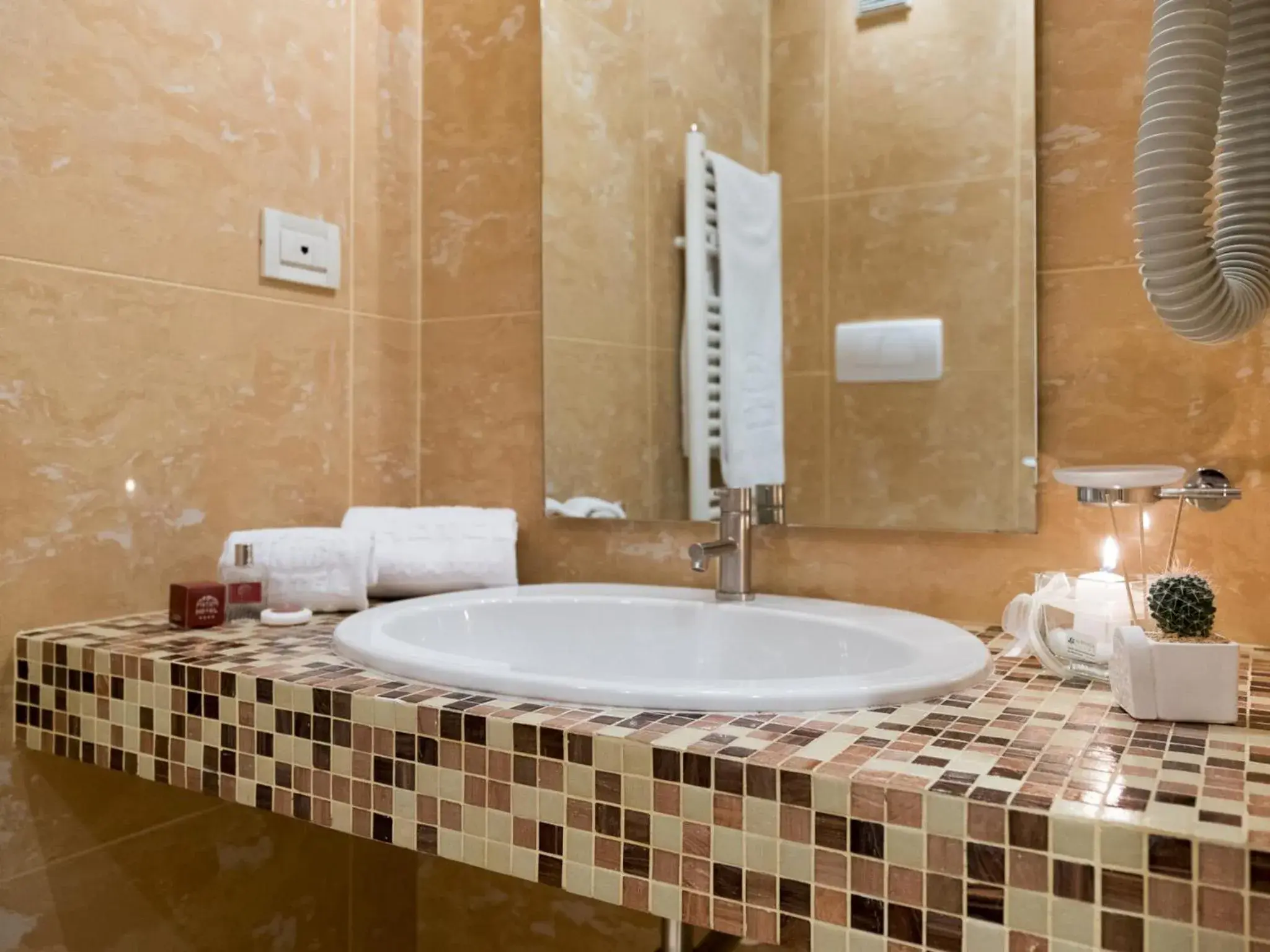 Single Room in Appia Antica Hotel Single Room in Appia Antica Hotel