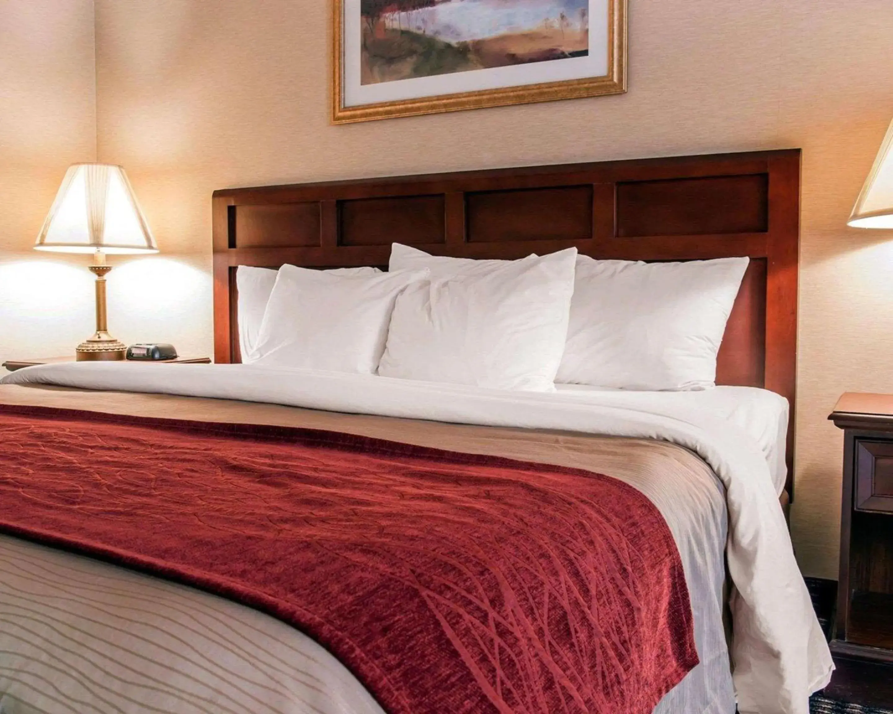 Standard King Room - Non-Smoking in Comfort Inn Standard King Room - Non-Smoking in Comfort Inn