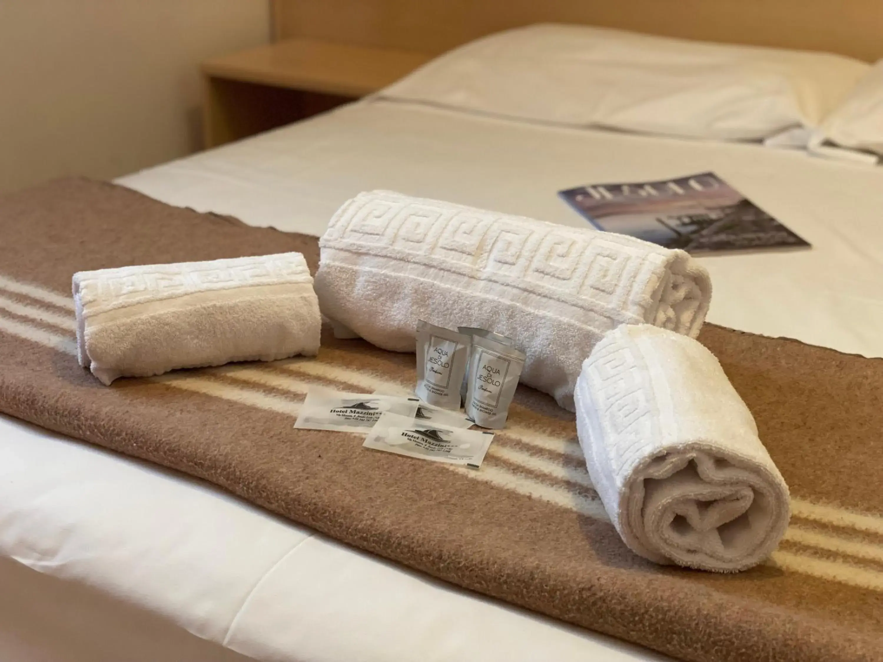 Twin Room in Hotel Mazzini Twin Room in Hotel Mazzini