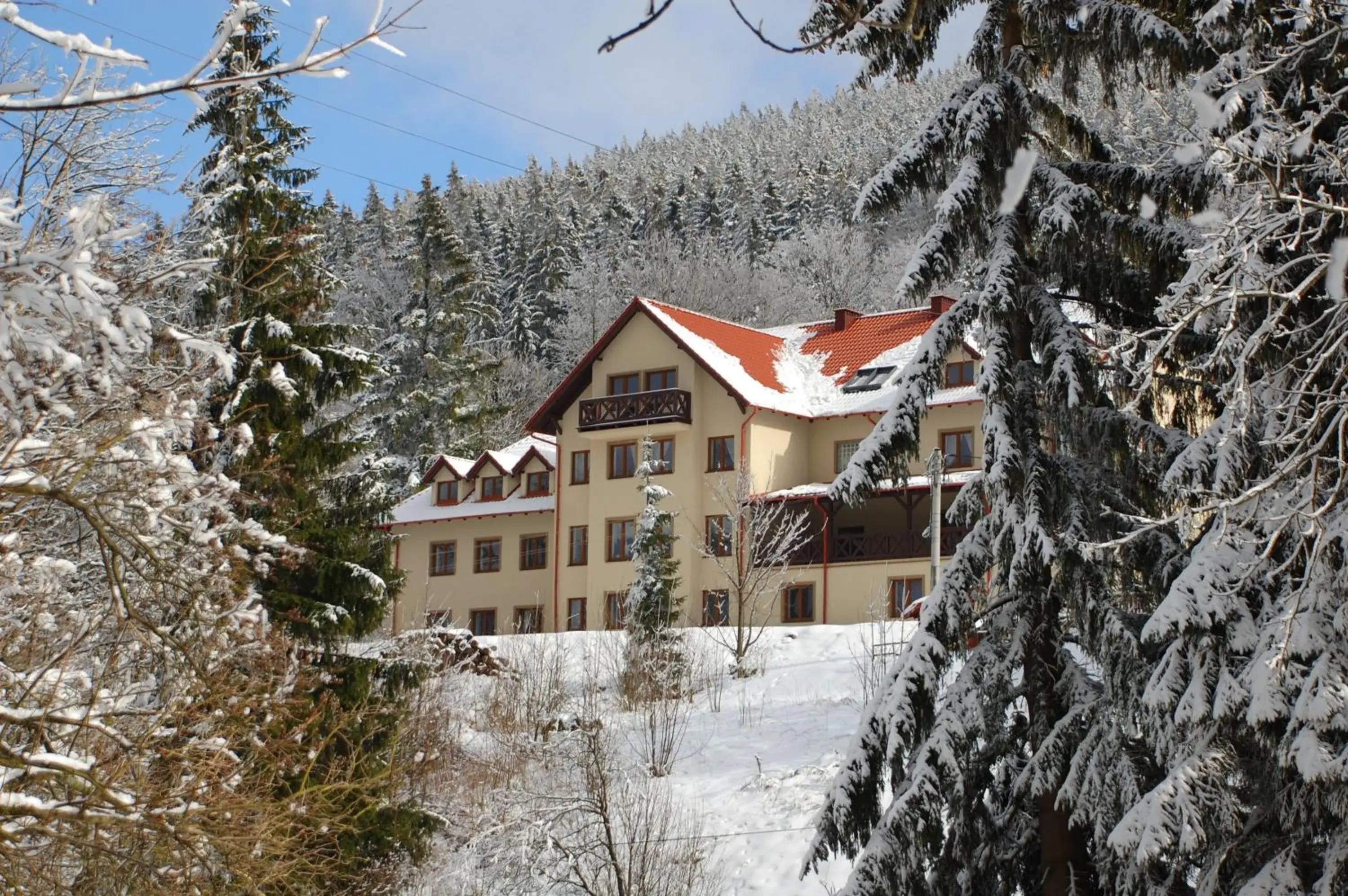 Willa Rudy Willa Rudy