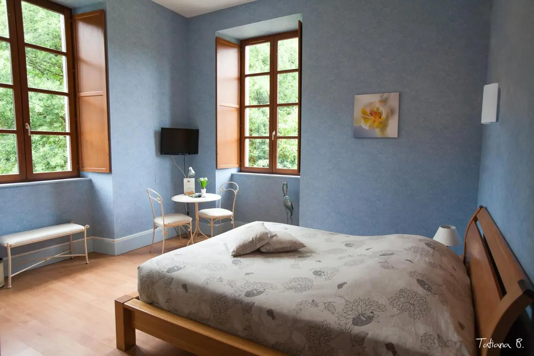 Double Room - single occupancy in Domaine de Chantemerle Double Room - single occupancy in Domaine de Chantemerle