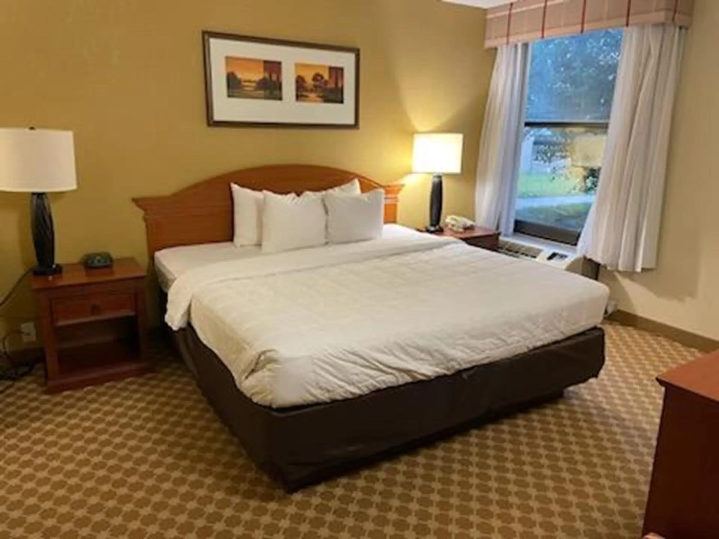 One Bedroom King Suite with Sofa Bed - Non Smoking in Quality Inn & Suites One Bedroom King Suite with Sofa Bed - Non Smoking in Quality Inn & Suites