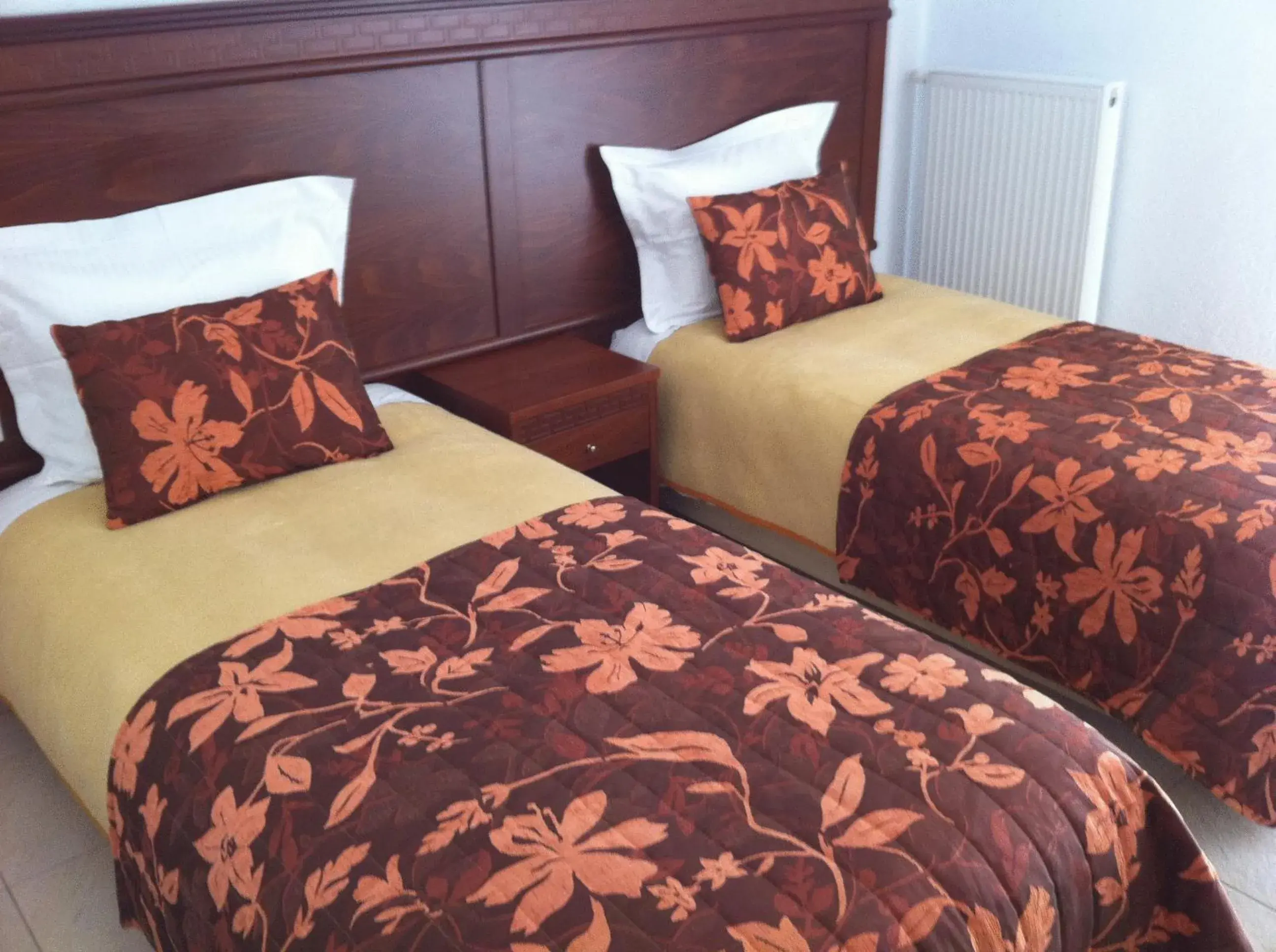 Double or Twin Room in Hotel Filoxenia Double or Twin Room in Hotel Filoxenia