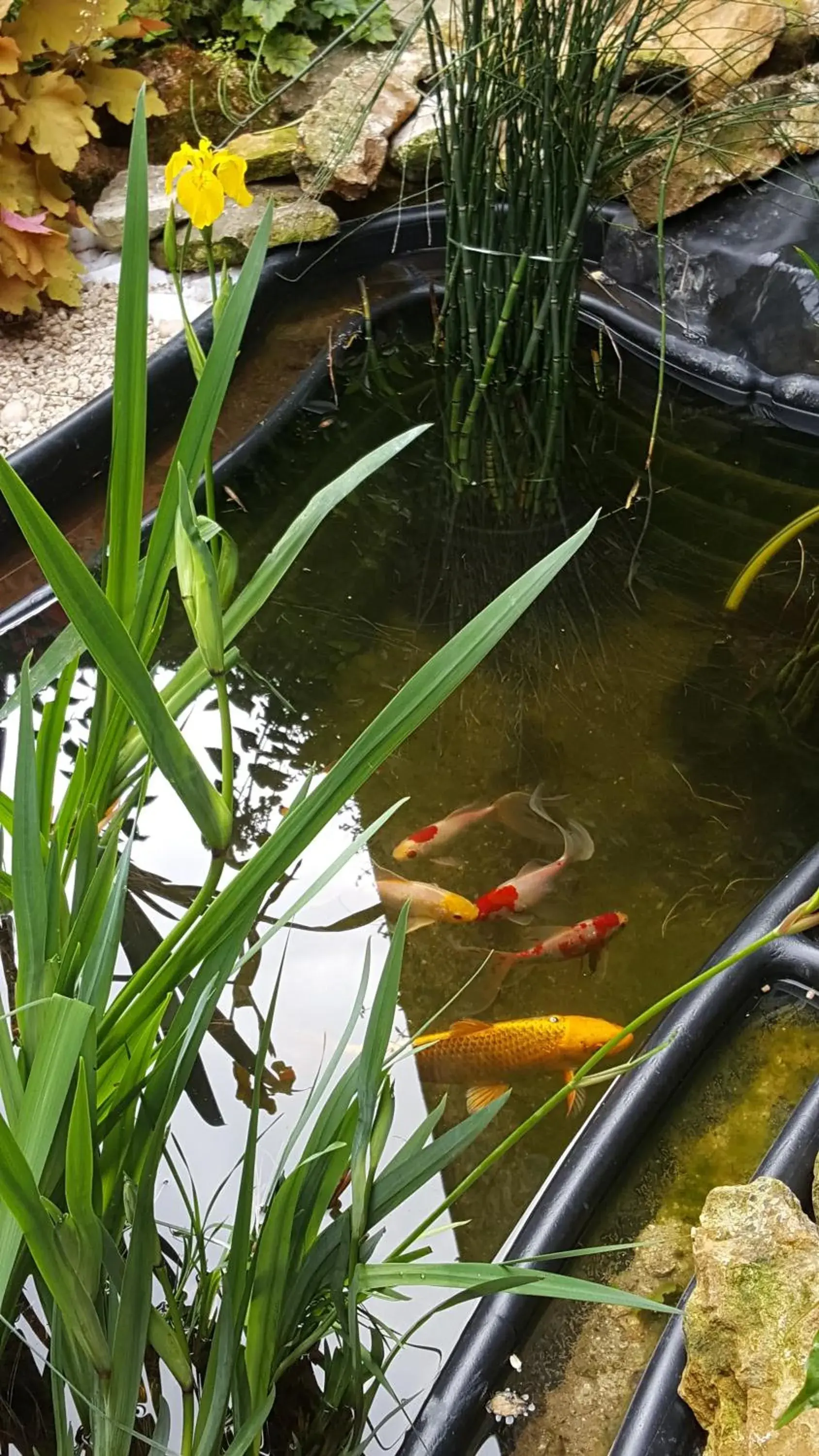 Double Room with Garden View in La Chuchotiere Double Room with Garden View in La Chuchotiere