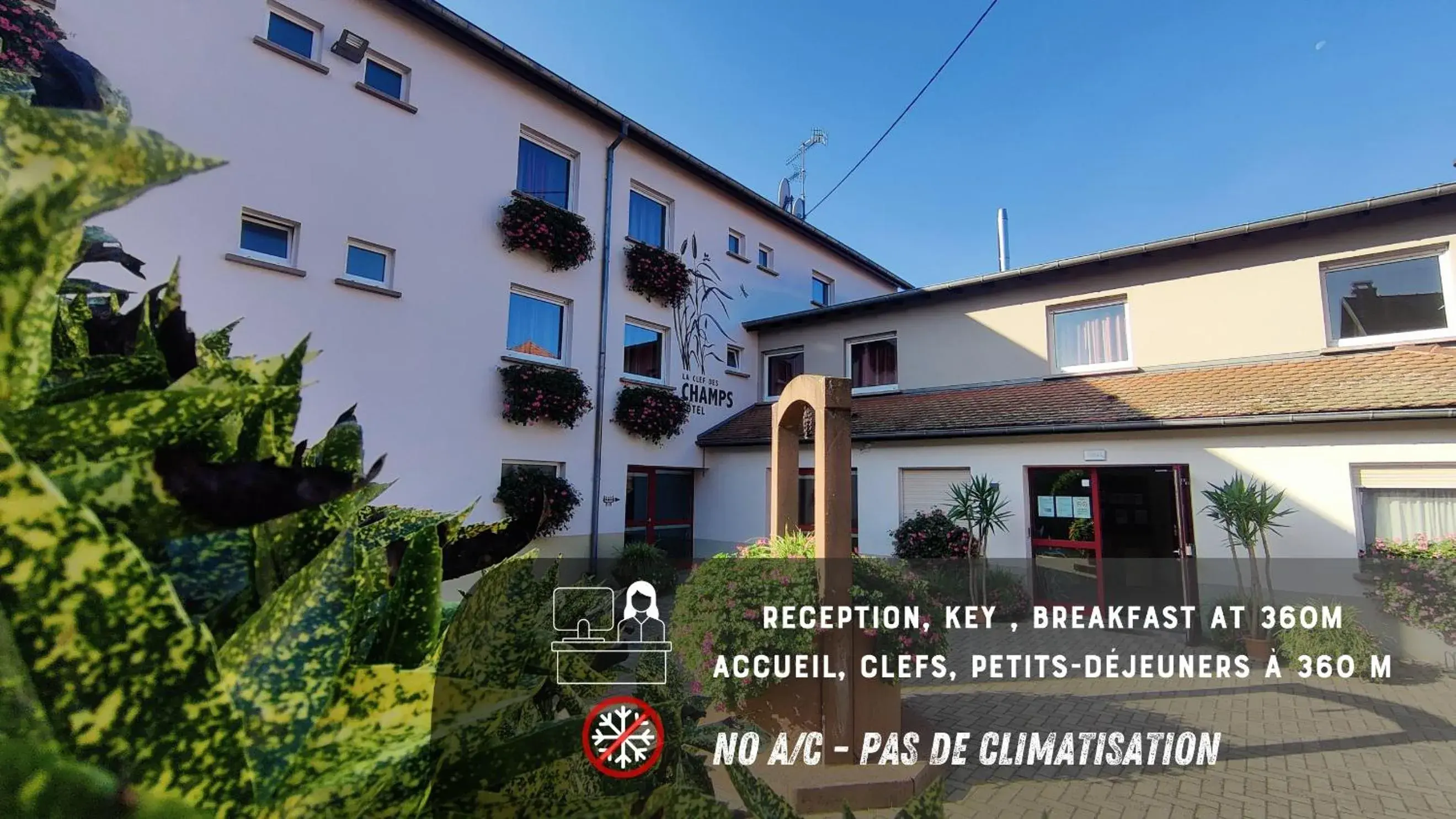 La Clef des Champs - Proche Colmar La Clef des Champs - Proche Colmar