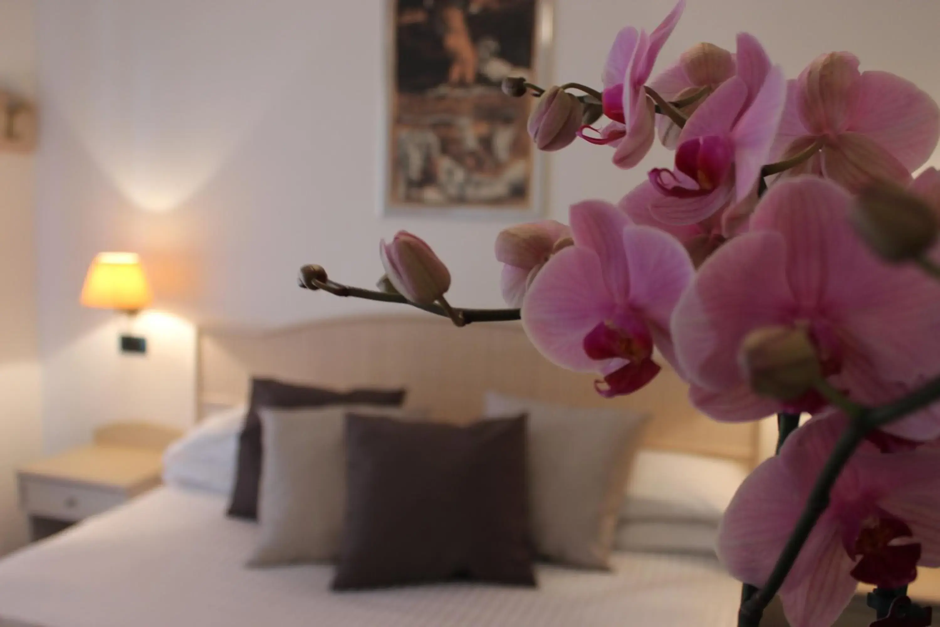 Triple Room in Hotel Miramare Triple Room in Hotel Miramare