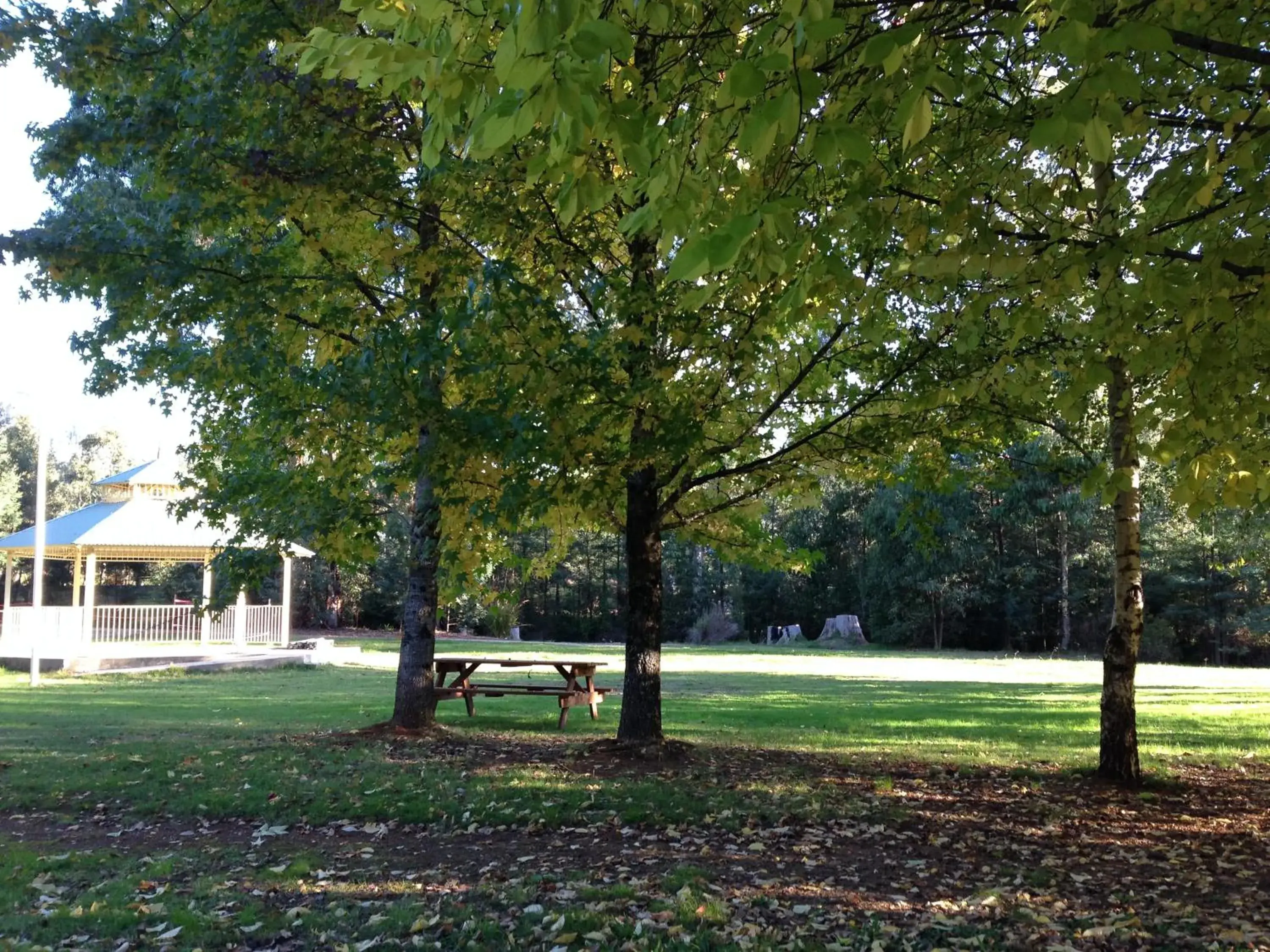 Suite with Balcony in Goldberryaccommodation Suite with Balcony in Goldberryaccommodation