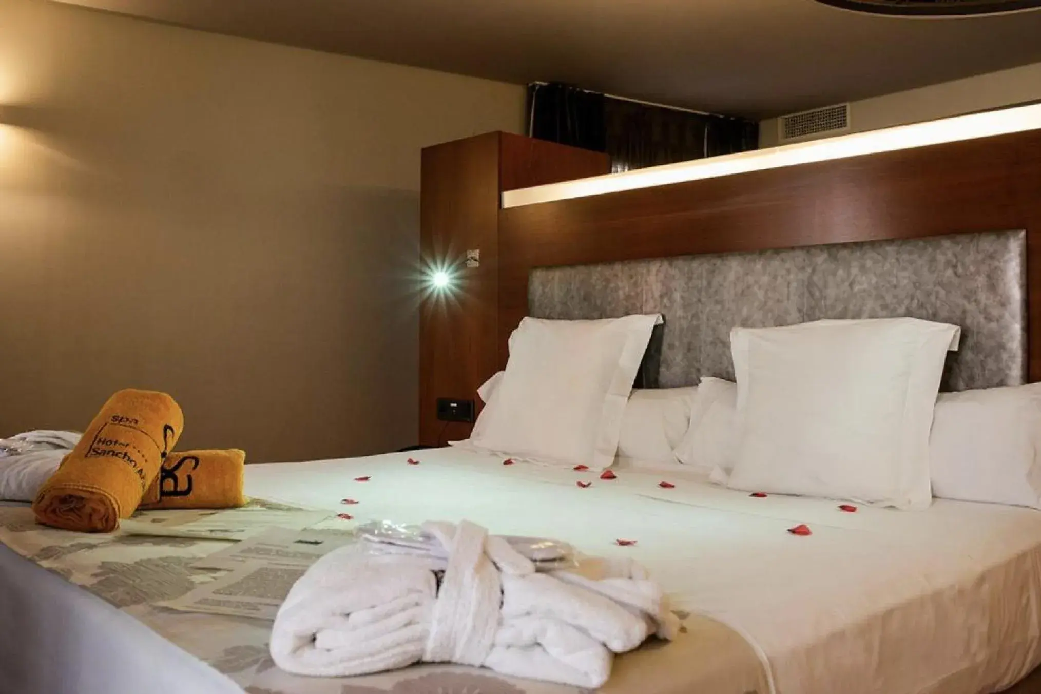 Junior Suite in Hotel Sancho Abarca Petit SPA Junior Suite in Hotel Sancho Abarca Petit SPA