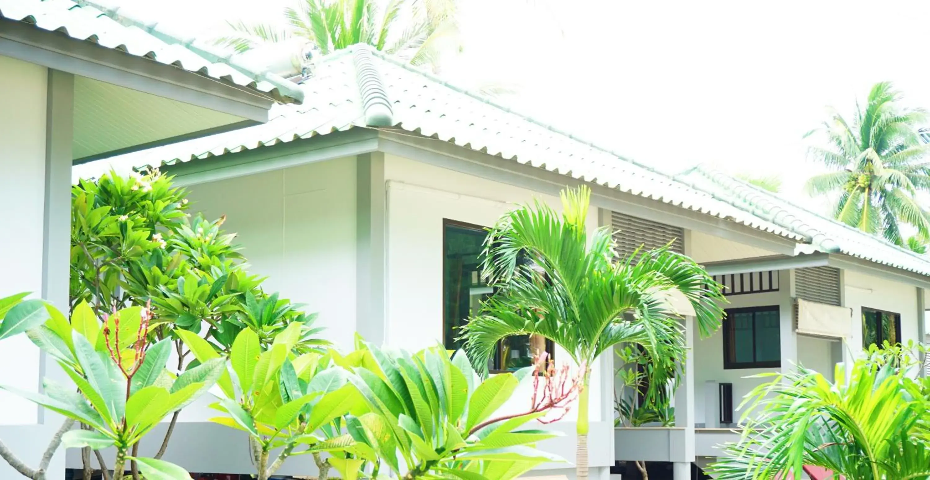 Sea View Bungalow in Lamai Inn 99 Bungalows Sea View Bungalow in Lamai Inn 99 Bungalows