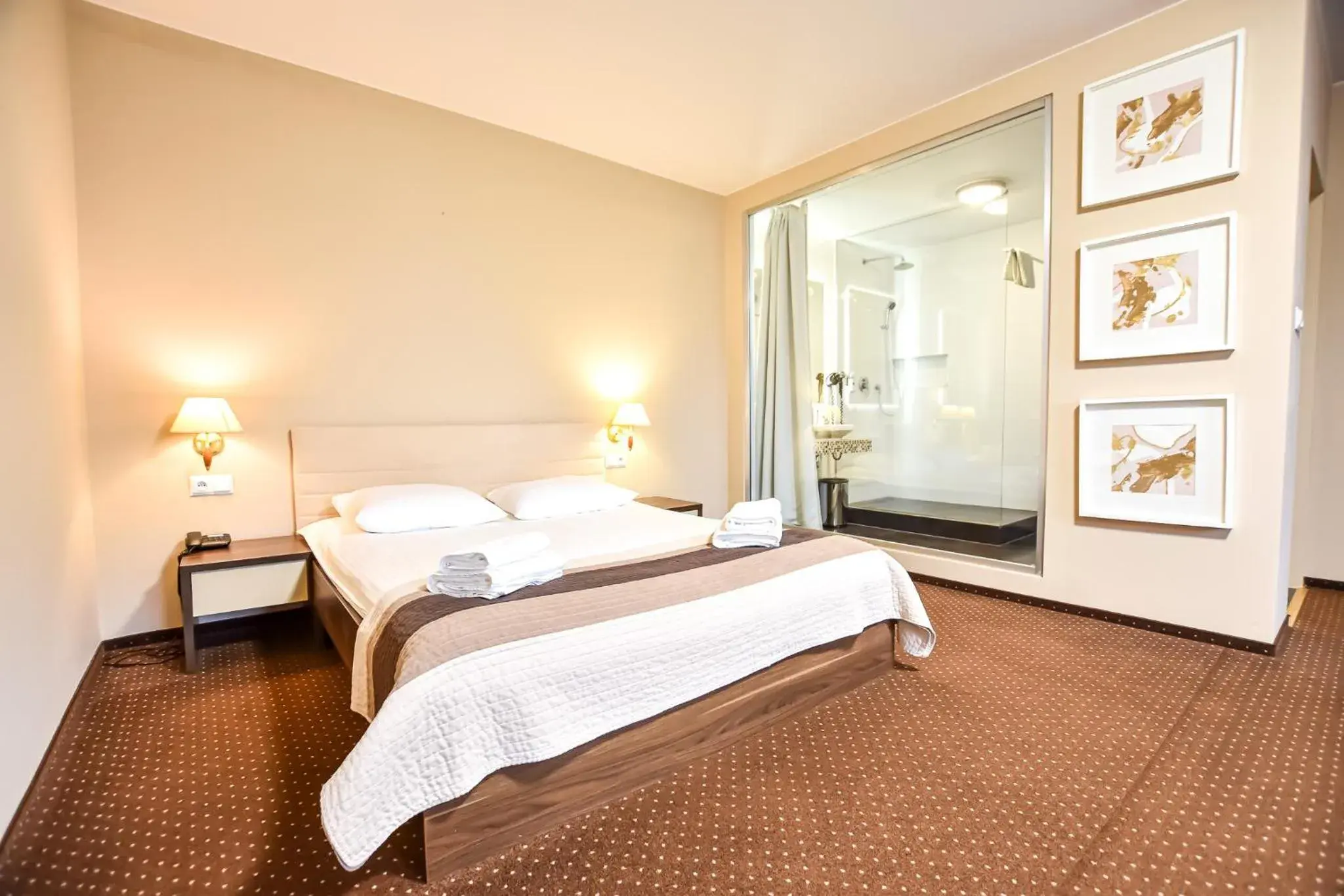 Deluxe Studio - single occupancy in Leśny Dwór Deluxe Studio - single occupancy in Leśny Dwór