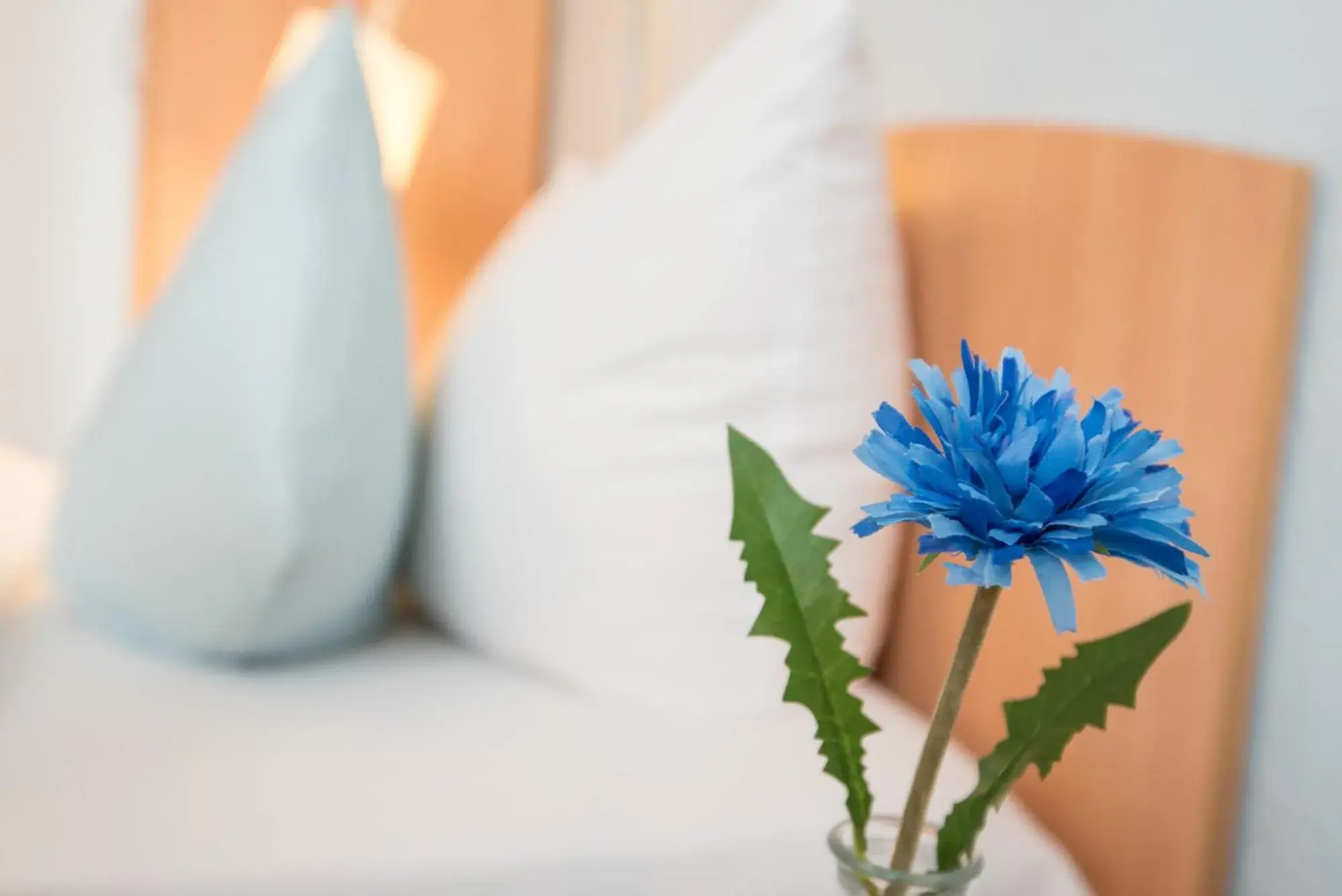 Single Room in Residenz Hotel Wuppertal Single Room in Residenz Hotel Wuppertal