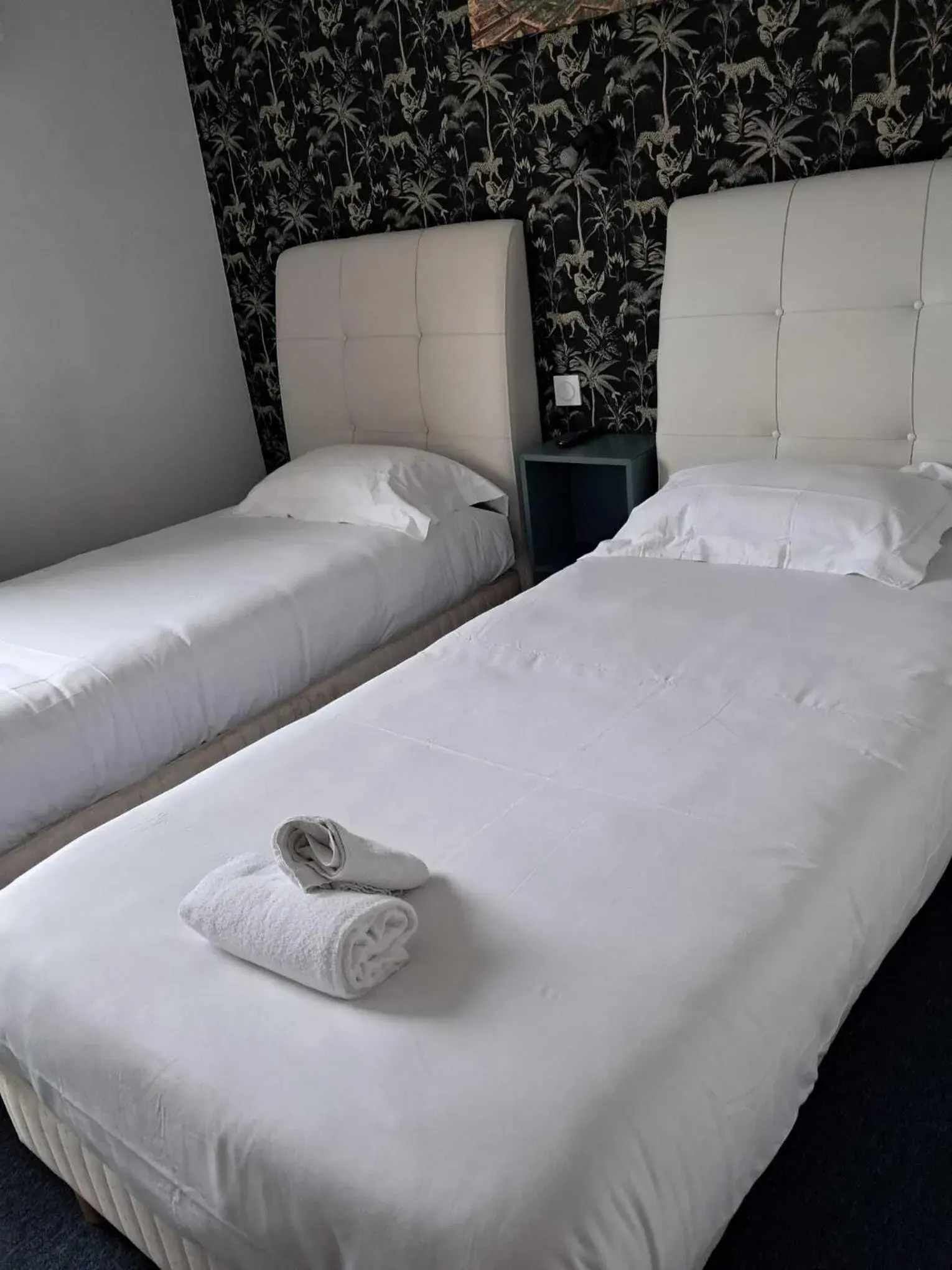 Twin Room in Astrotel Romorantin-Lanthenay Soirée étape Twin Room in Astrotel Romorantin-Lanthenay Soirée étape