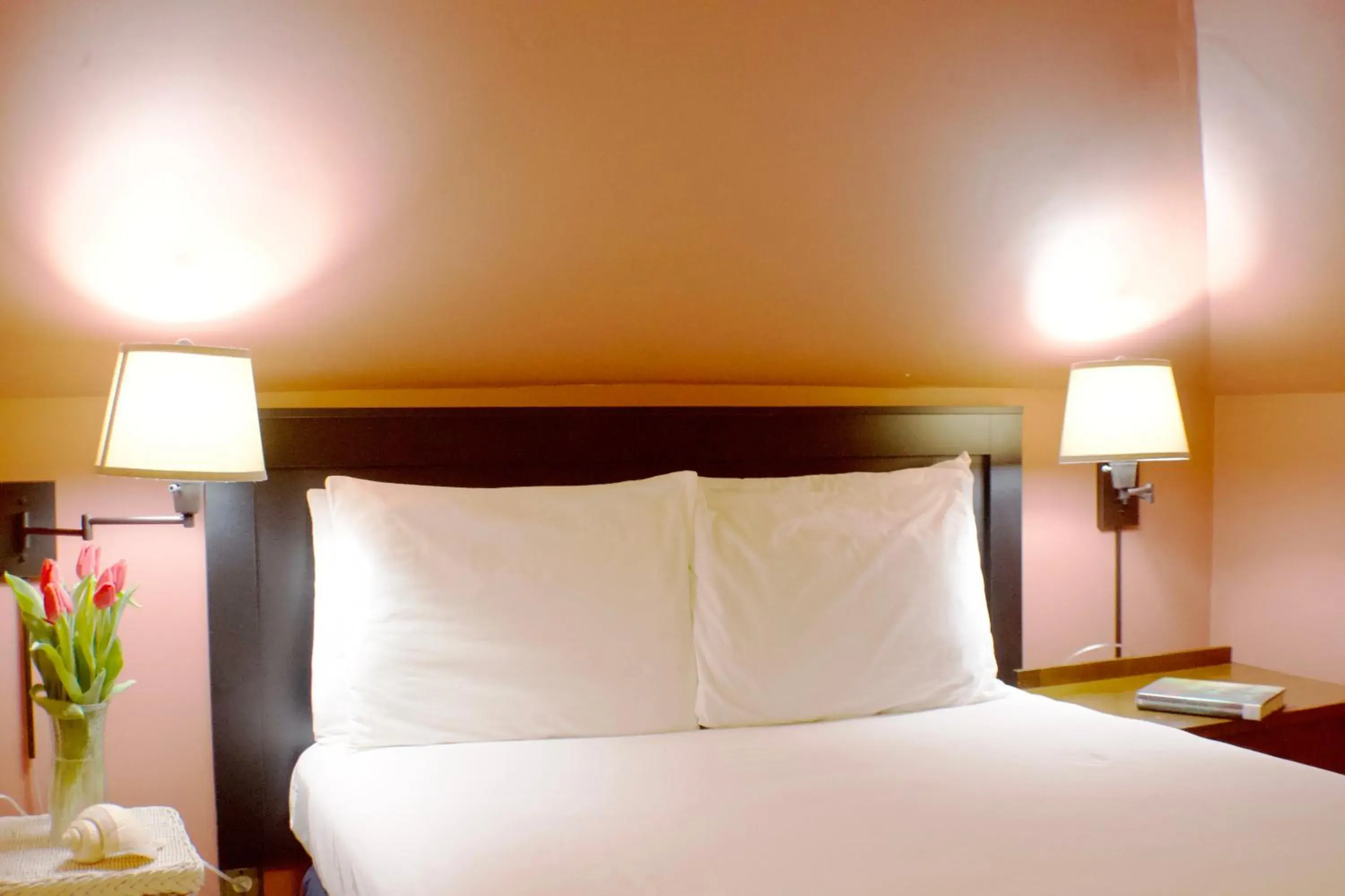 Double Room with Private External Bathroom in Carisbrooke Inn Bed & Breakfast Double Room with Private External Bathroom in Carisbrooke Inn Bed & Breakfast