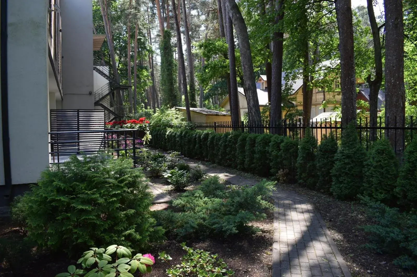 Single Room with Spa Access in Amber Sea Hotel & SPA Single Room with Spa Access in Amber Sea Hotel & SPA