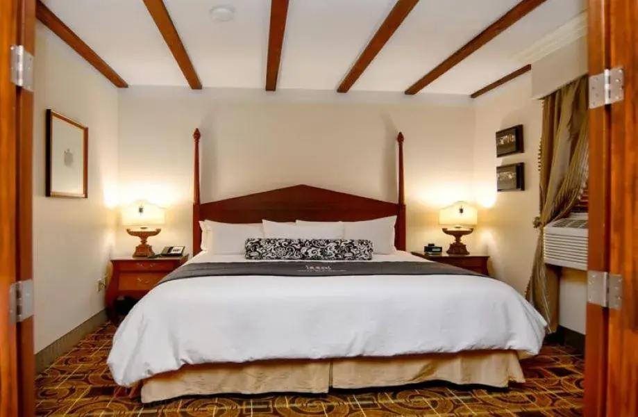 Junior Suite in Brand Plaza Hotel Junior Suite in Brand Plaza Hotel