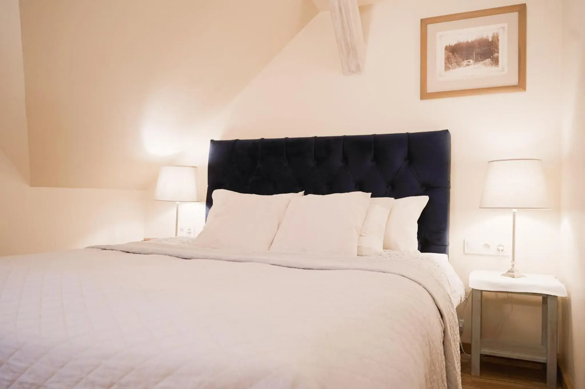 Double Room Maria in Karlamuiza Country Hotel Double Room Maria in Karlamuiza Country Hotel