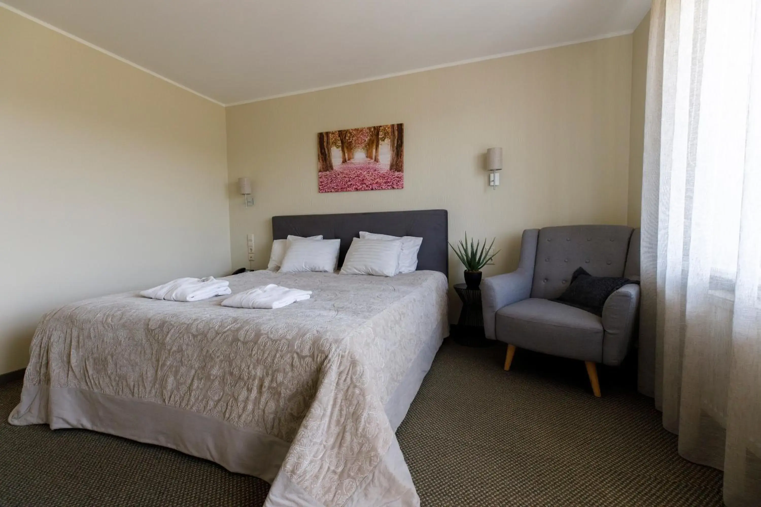 Junior Suite in Spa Hotel Ezeri Junior Suite in Spa Hotel Ezeri