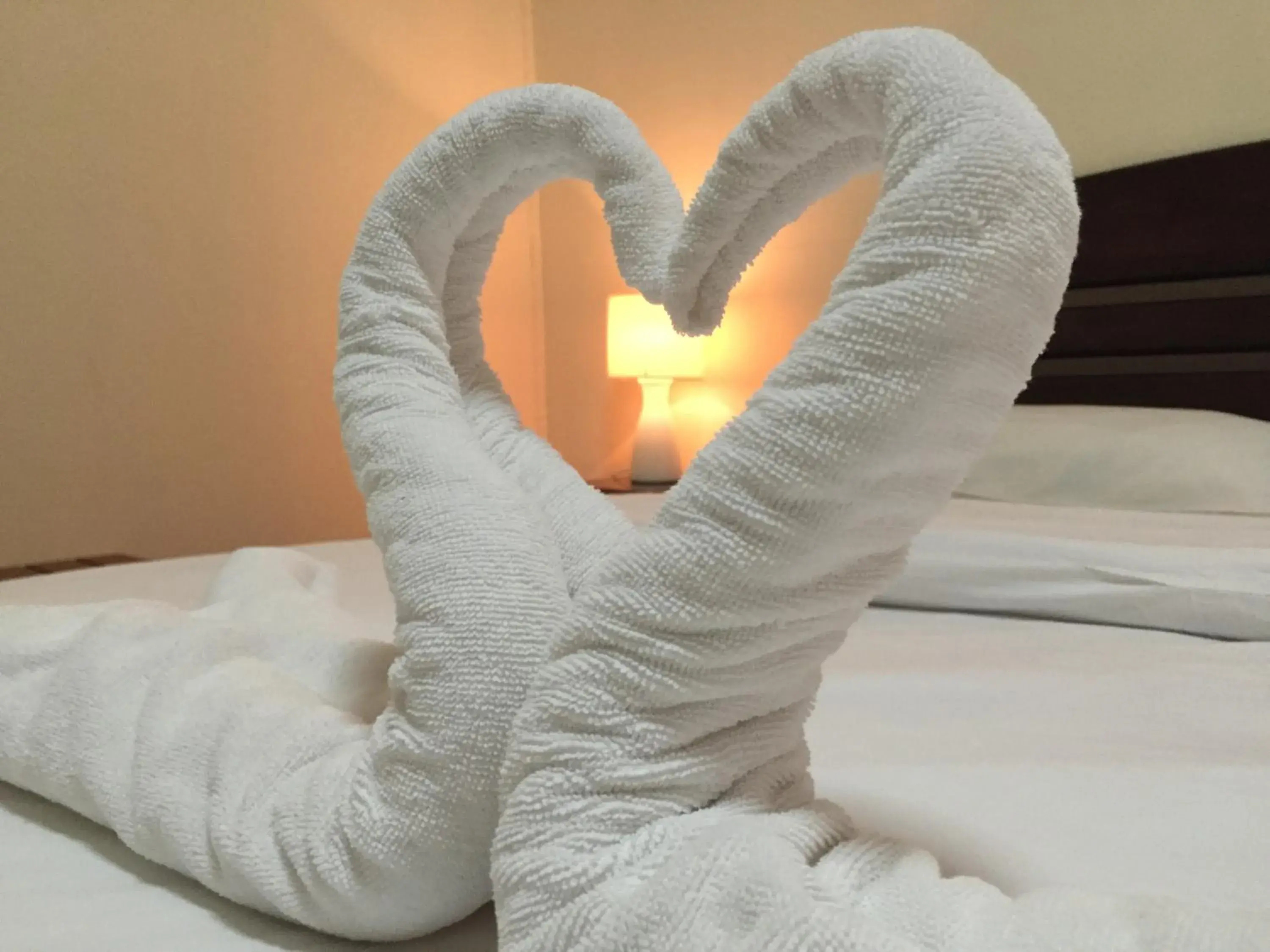 Superior Double Room Only - single occupancy in MD House Superior Double Room Only - single occupancy in MD House