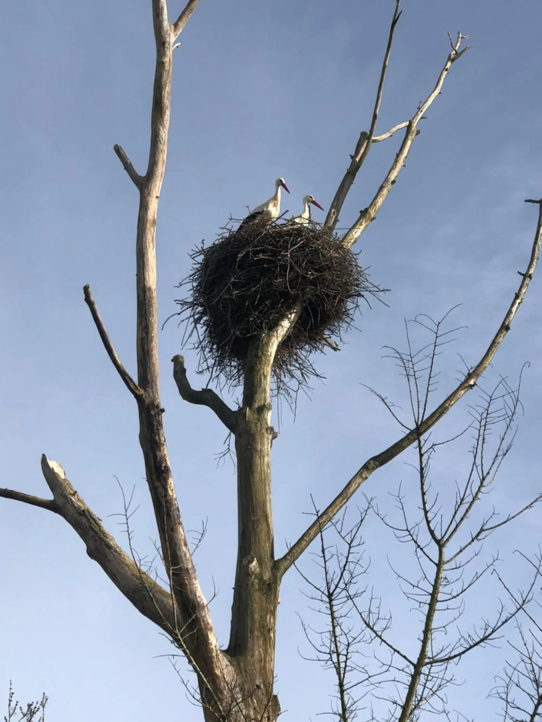 Two-Bedroom House with Patio - single occupancy in Le Clos du Square - climatisé Two-Bedroom House with Patio - single occupancy in Le Clos du Square - climatisé