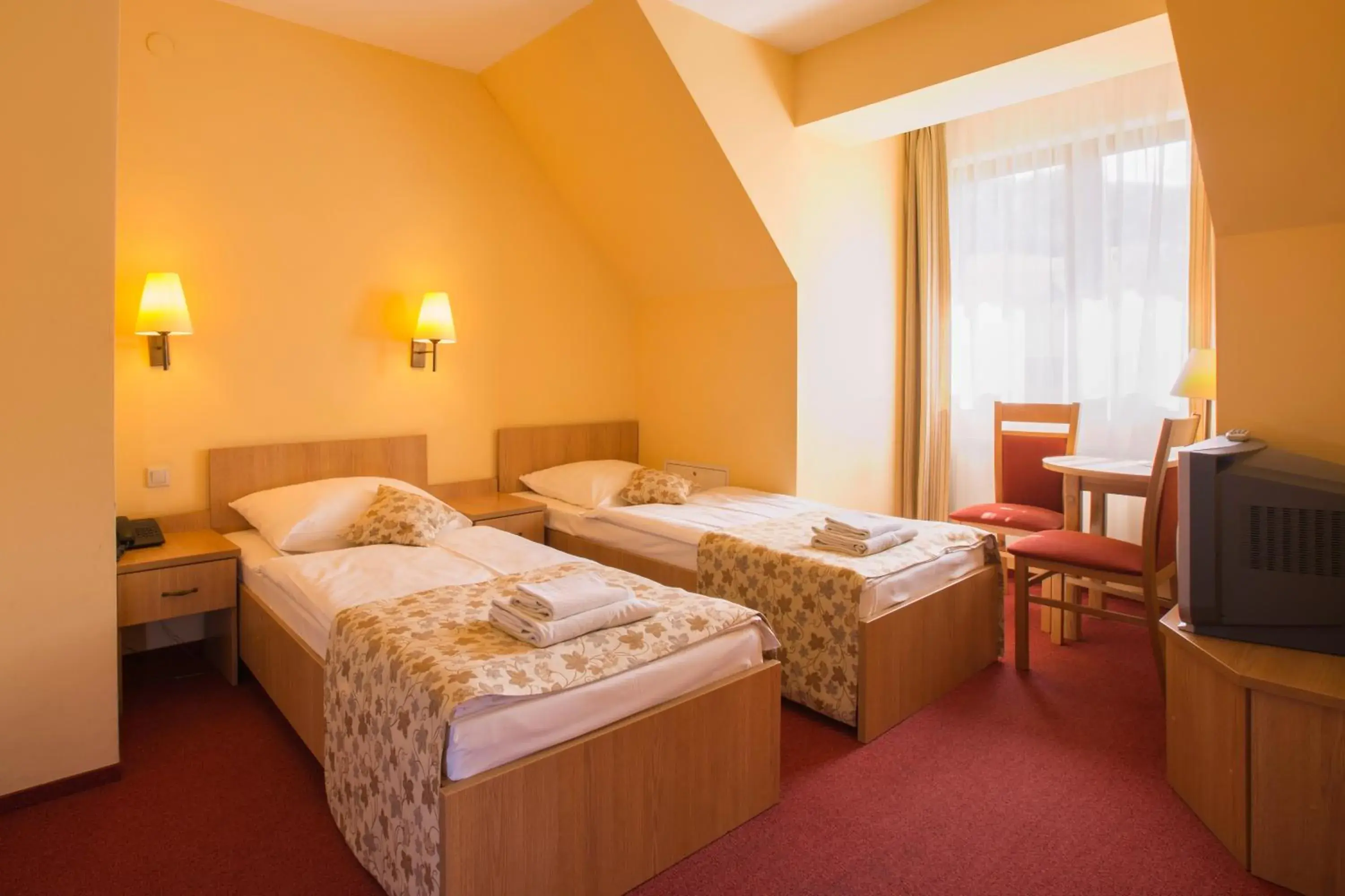 Standard Double Room - single occupancy in Ski Hotel Standard Double Room - single occupancy in Ski Hotel
