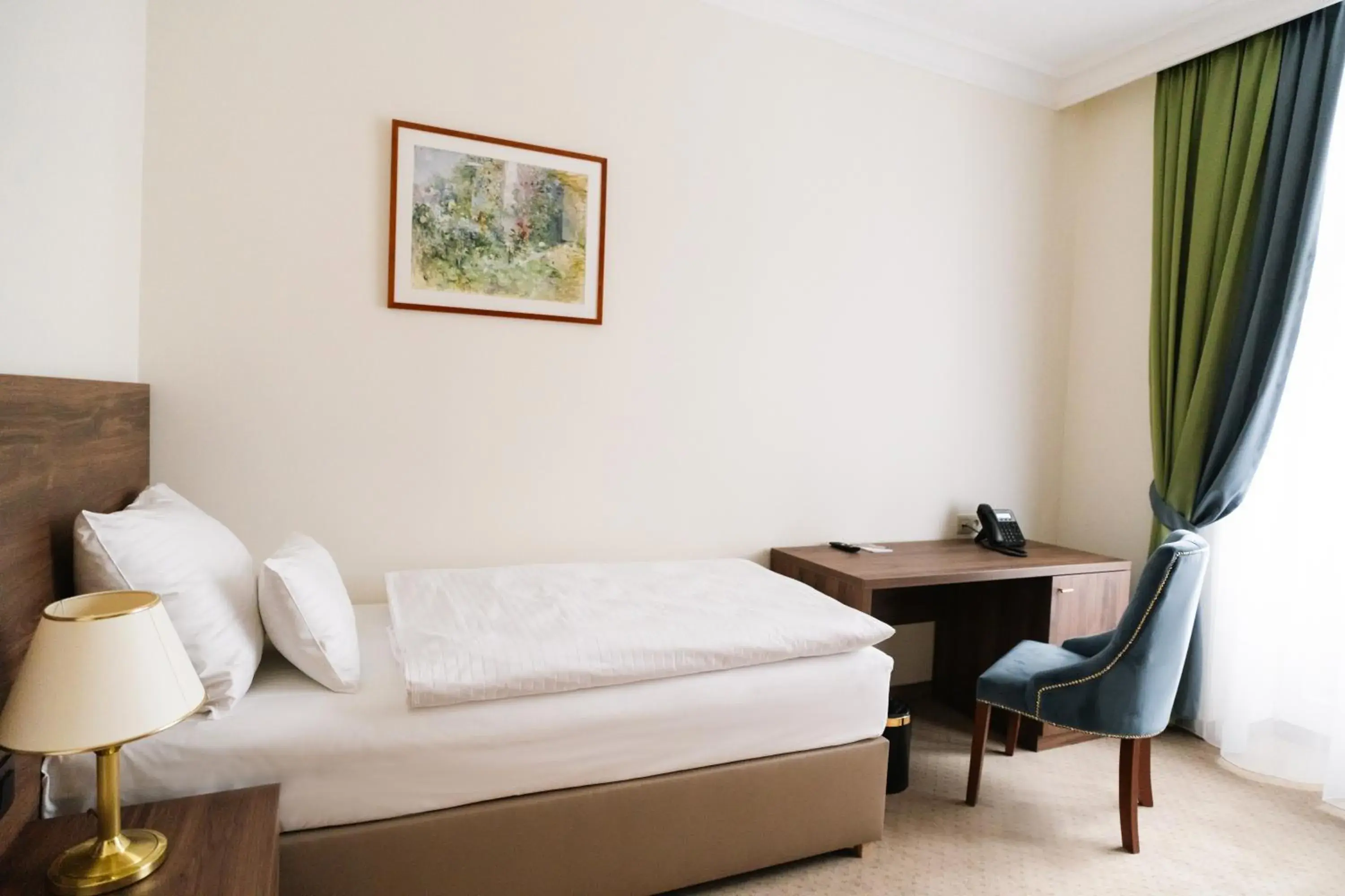 Single Room - Annex Building in Spa Hotel Villa Smetana Single Room - Annex Building in Spa Hotel Villa Smetana