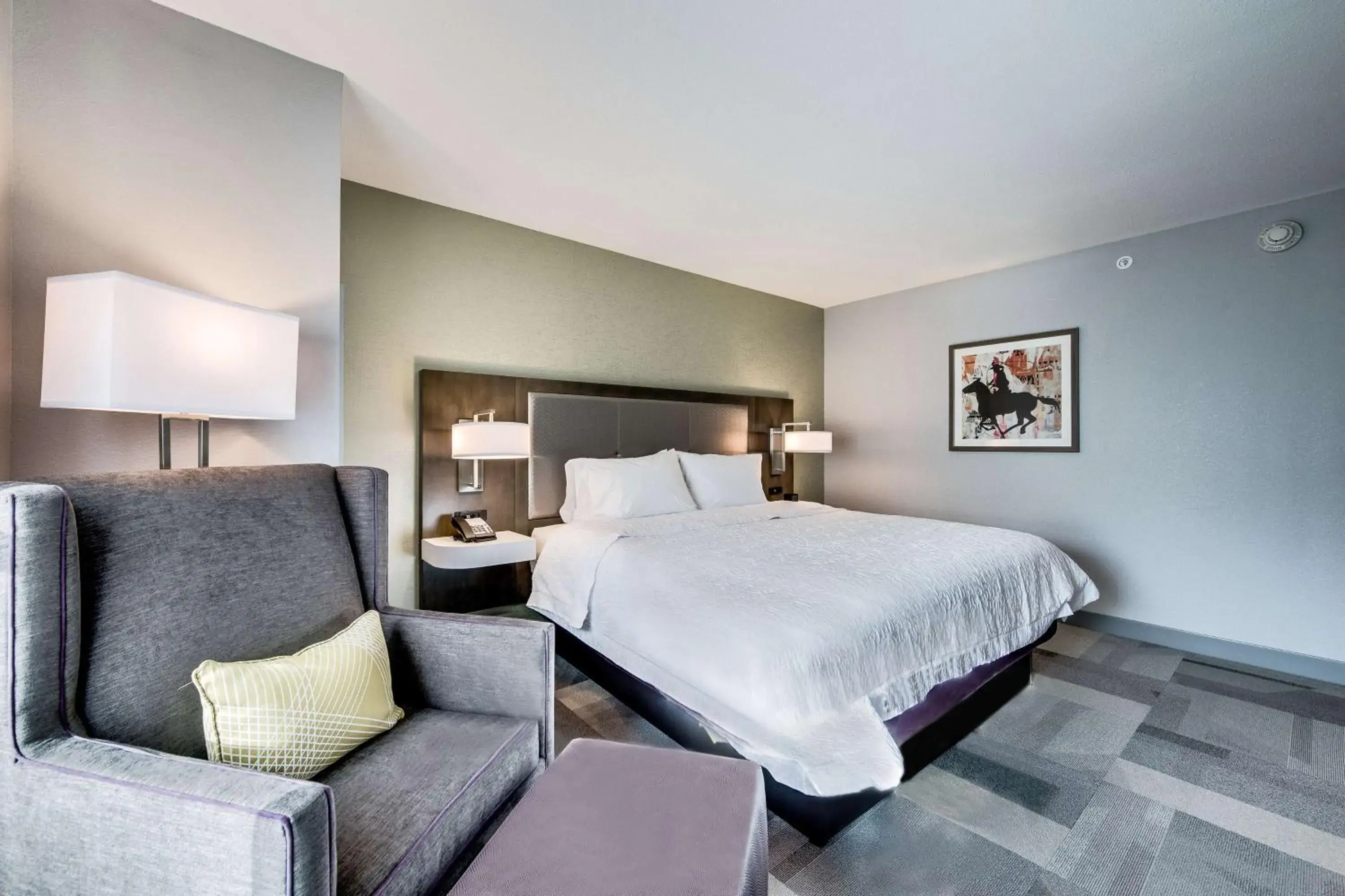 King Room with Tub - Mobility Access in Hampton Inn & Suites Fort Worth Downtown King Room with Tub - Mobility Access in Hampton Inn & Suites Fort Worth Downtown