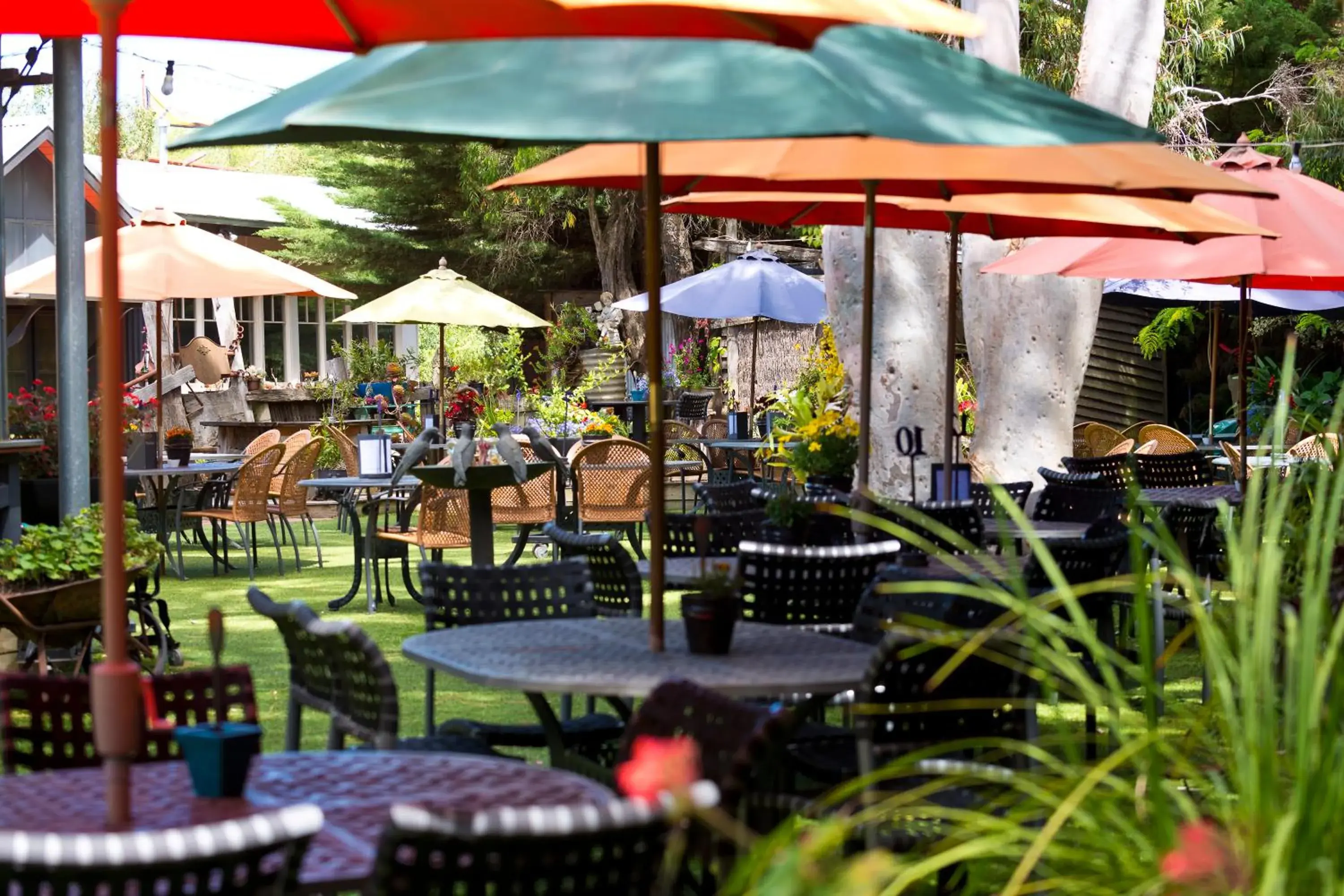 Oakdene Vineyards Guesthouse Oakdene Vineyards Guesthouse