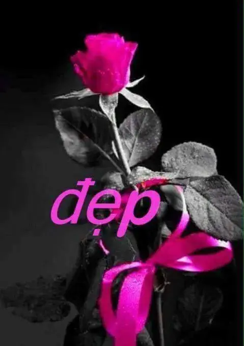 Superior Triple Room in Diệp Minh 2 Hotel Superior Triple Room in Diệp Minh 2 Hotel