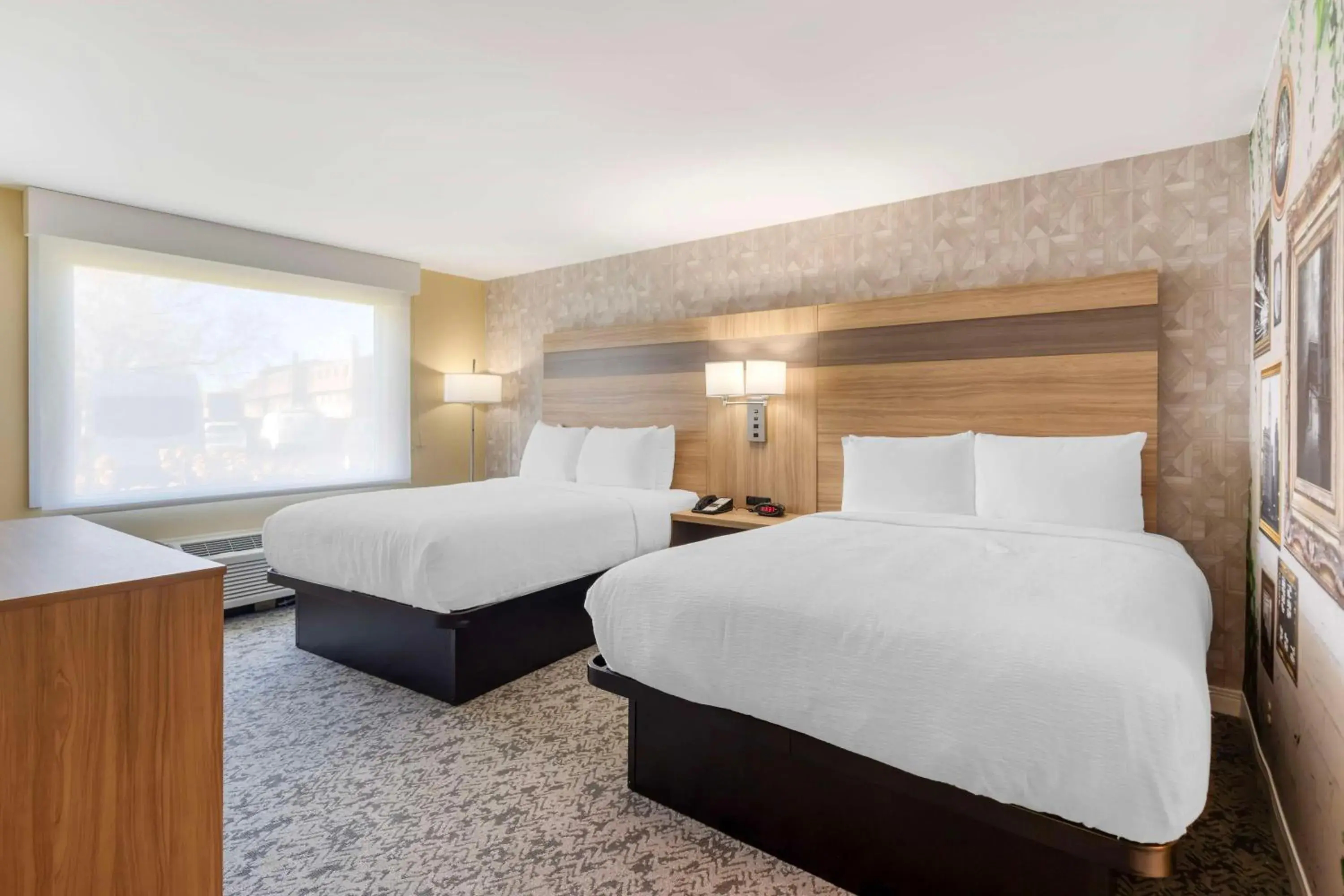 Queen Suite with Two Queen Beds and Sofa Bed - Non-Smoking in Best Western Glenview - Chicagoland Inn and Suites Queen Suite with Two Queen Beds and Sofa Bed - Non-Smoking in Best Western Glenview - Chicagoland Inn and Suites