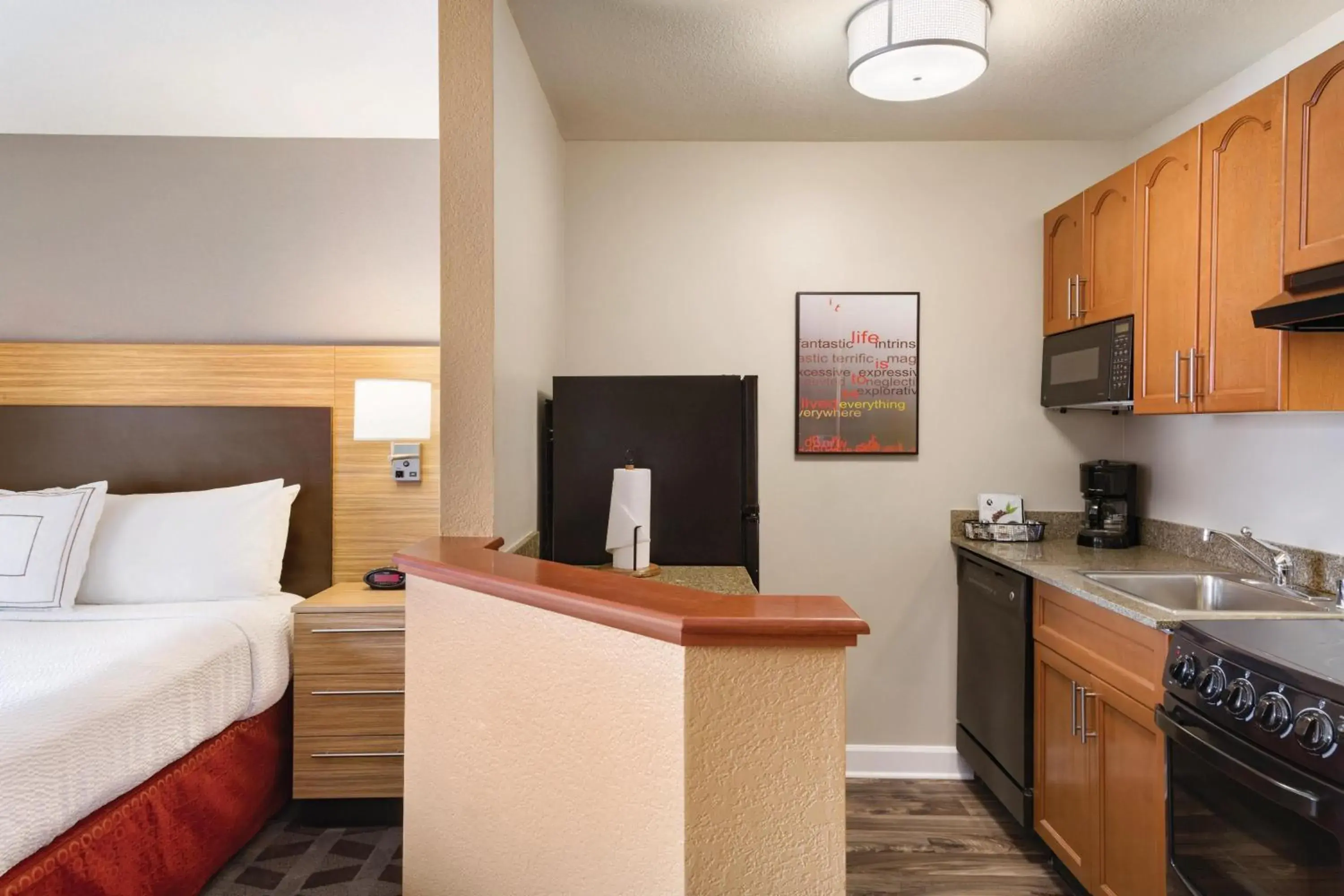 Queen Studio with Sofa Bed and Adapted Tub - Mobility Accessible in TownePlace Suites by Marriott Denver Downtown Queen Studio with Sofa Bed and Adapted Tub - Mobility Accessible in TownePlace Suites by Marriott Denver Downtown