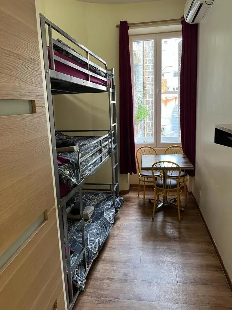 Single Bed in Mixed Dormitory Room in Hôtel Lyonnais Single Bed in Mixed Dormitory Room in Hôtel Lyonnais