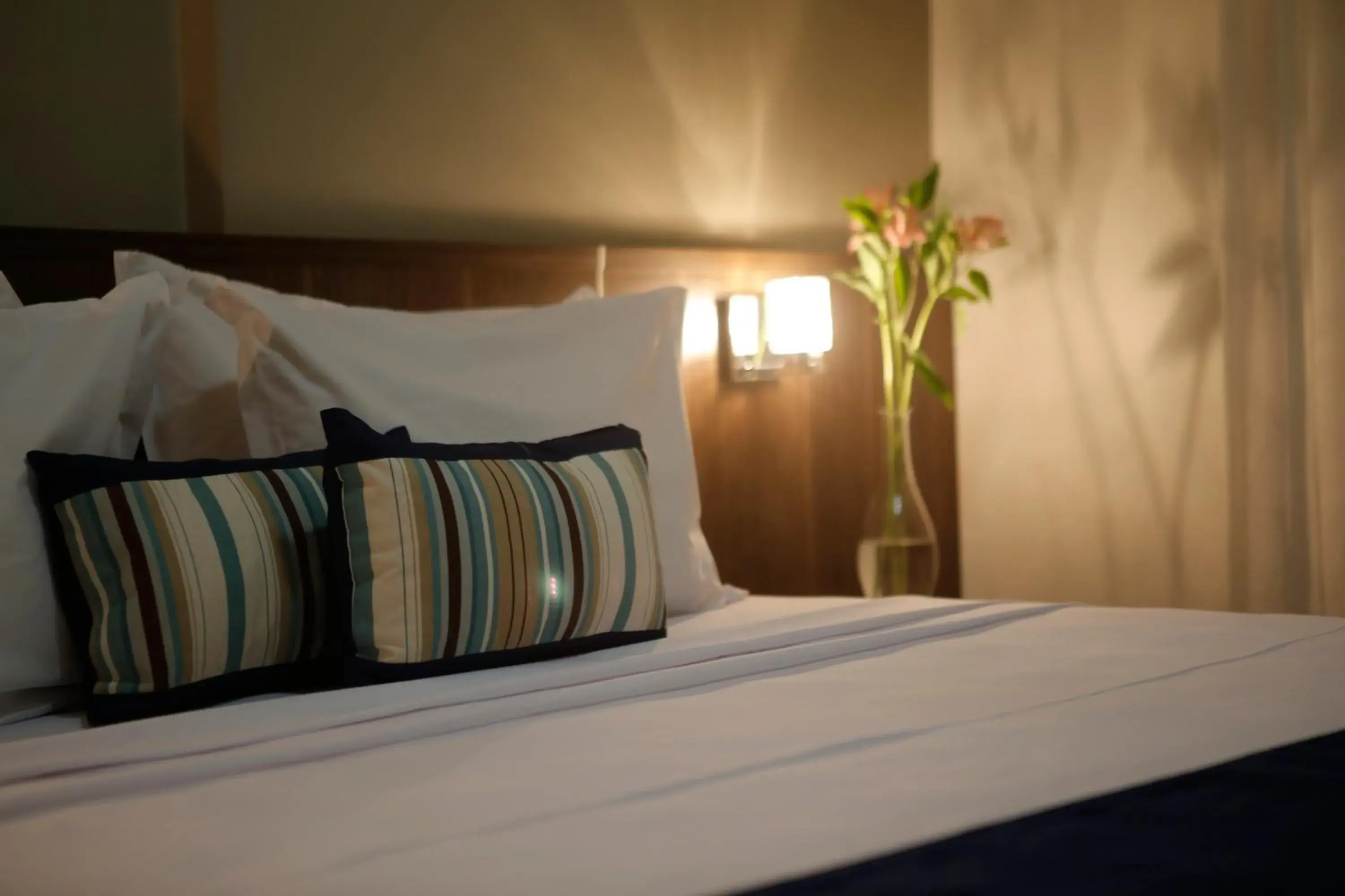 Superior Suite - single occupancy in Quality Suites Vila Velha Superior Suite - single occupancy in Quality Suites Vila Velha