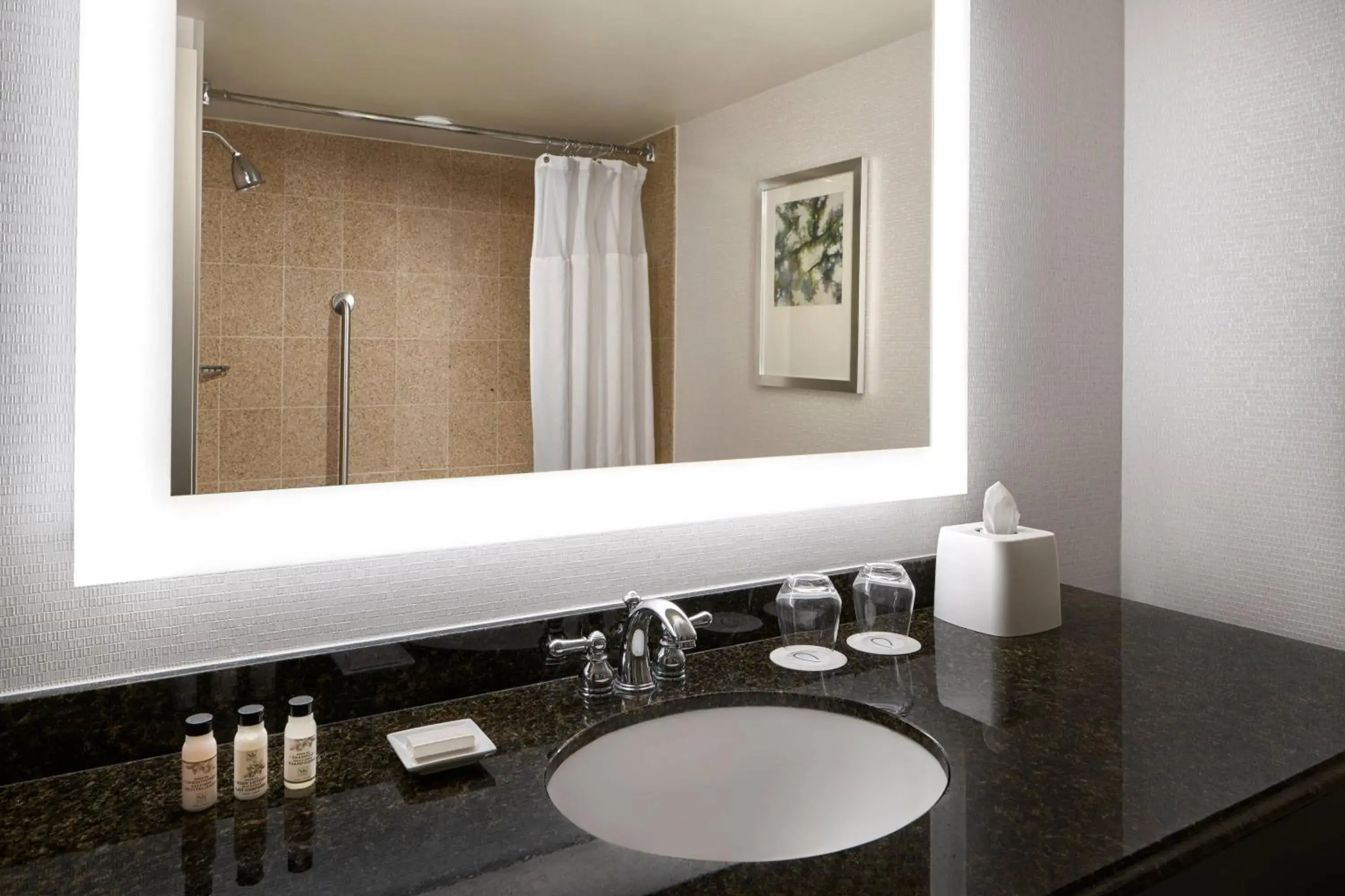 Double Room with Two Double Beds in Delta Hotels by Marriott Chesapeake Norfolk Double Room with Two Double Beds in Delta Hotels by Marriott Chesapeake Norfolk