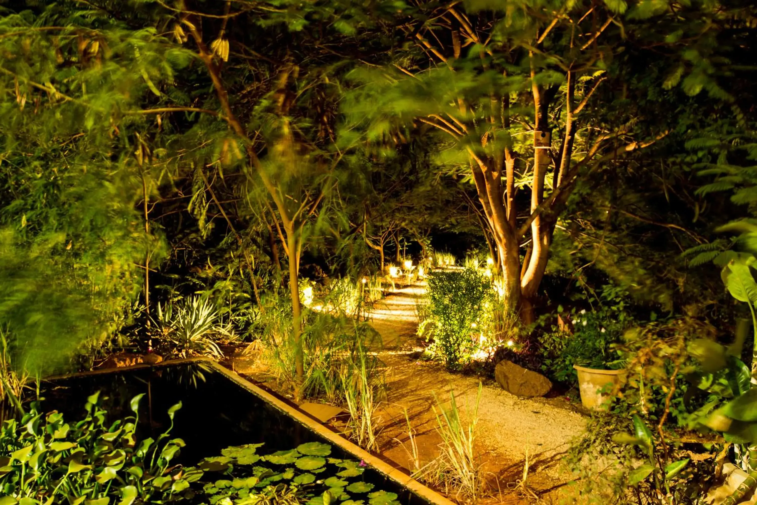 Les Manguiers de Guereo Les Manguiers de Guereo