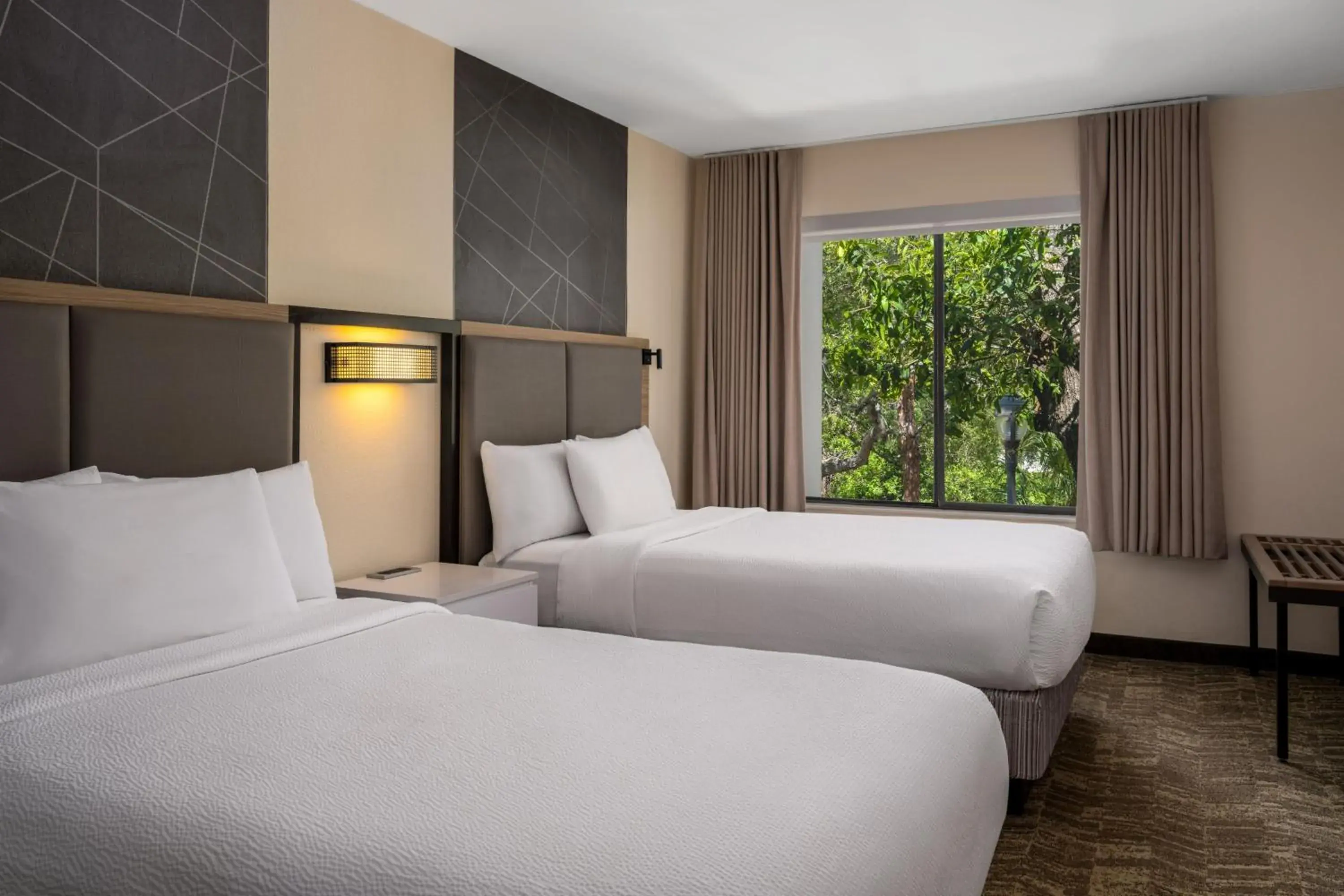 Double Studio with Sofa Bed in SpringHill Suites Sarasota Bradenton Double Studio with Sofa Bed in SpringHill Suites Sarasota Bradenton