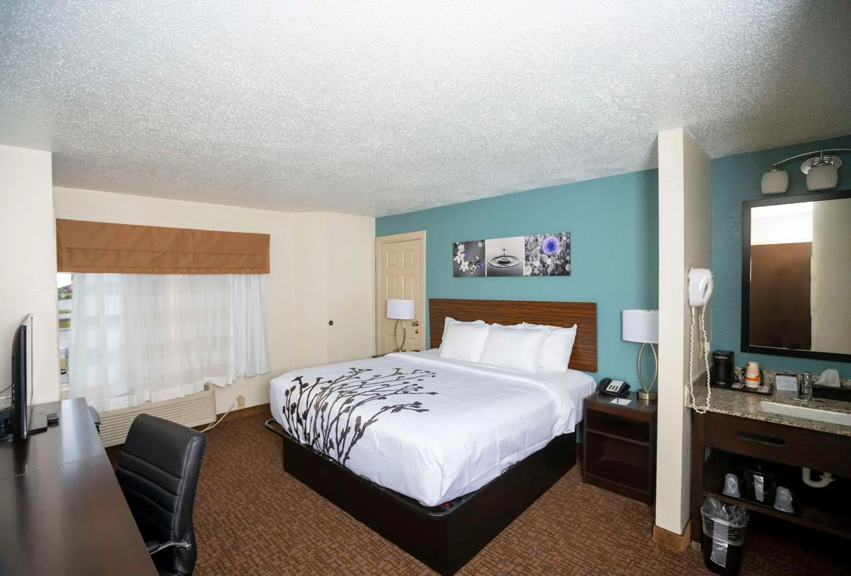 King Room - Non-Smoking in Sleep Inn near Outlets King Room - Non-Smoking in Sleep Inn near Outlets