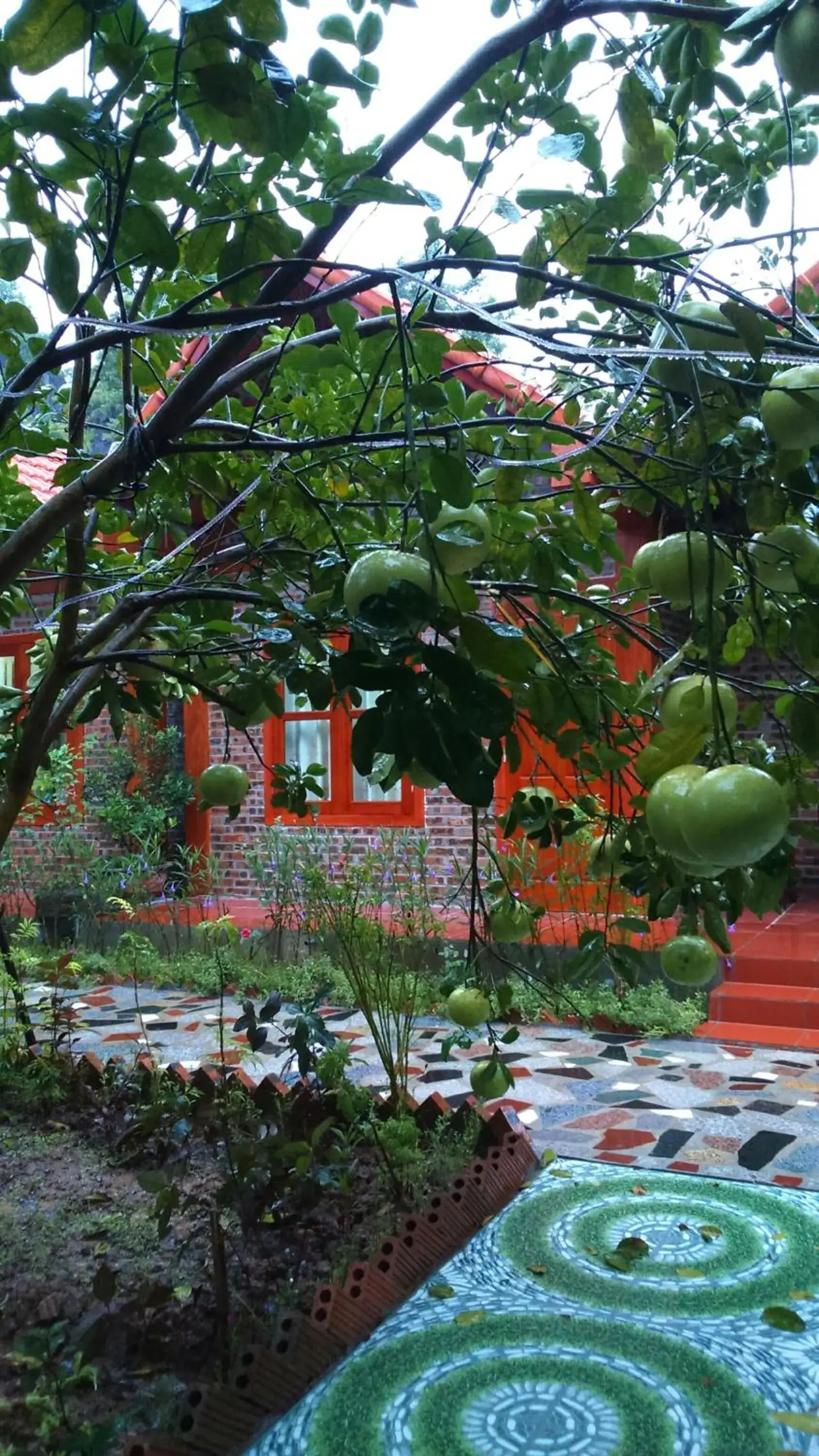 Double Room with Garden View in Tam Coc Thanh Dat Homestay Double Room with Garden View in Tam Coc Thanh Dat Homestay