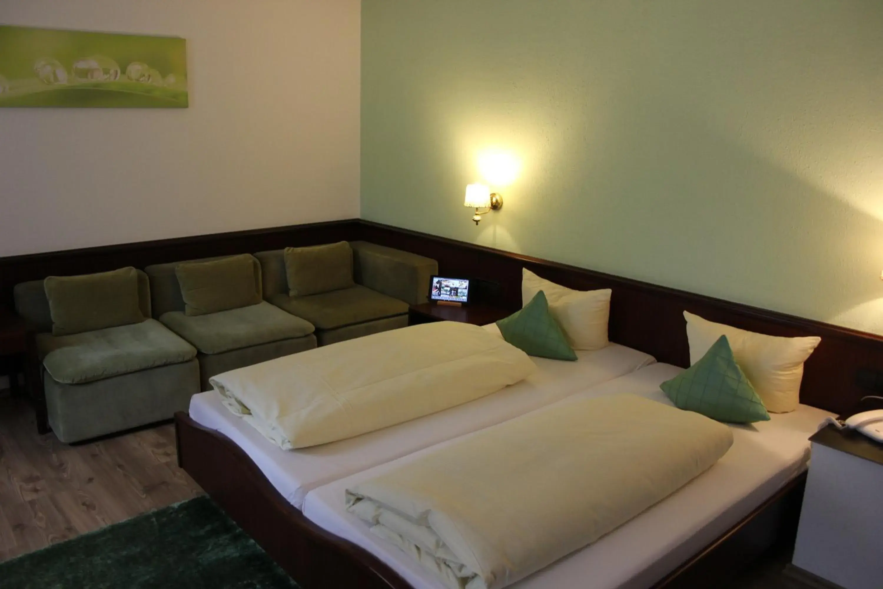 Standard Double Room - single occupancy in Hotel Lamm Standard Double Room - single occupancy in Hotel Lamm