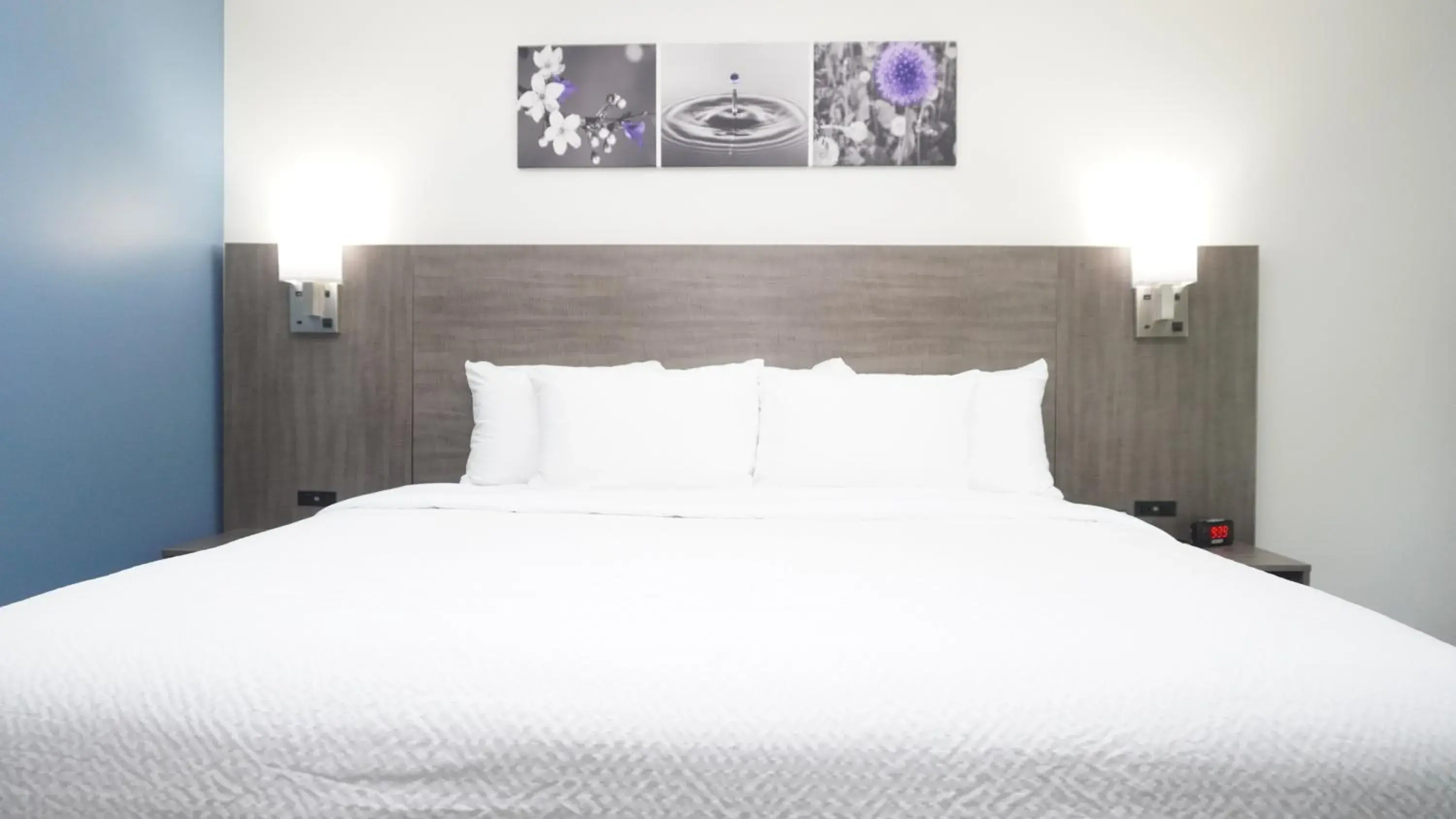 King Room - Non Smoking in Sleep Inn Franklin - Cool Springs King Room - Non Smoking in Sleep Inn Franklin - Cool Springs