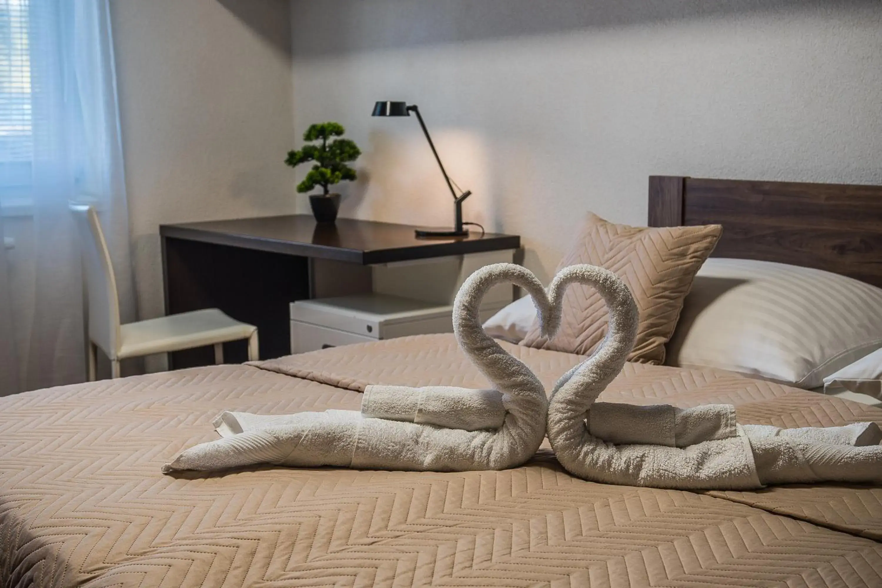 Standard Double Room in AeroCafe Standard Double Room in AeroCafe