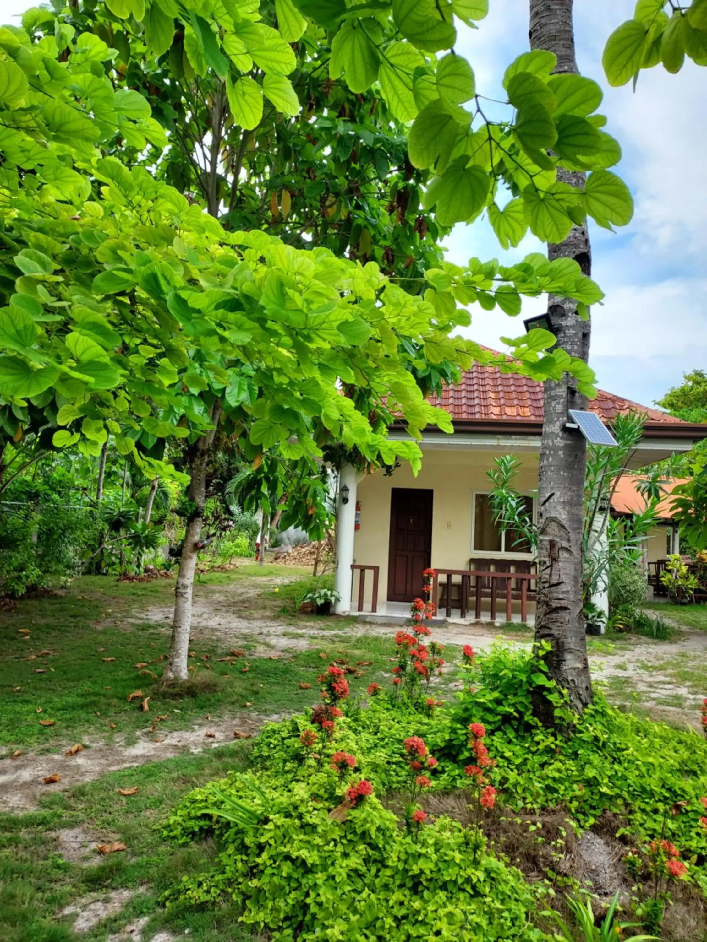 Celtis Resort Celtis Resort