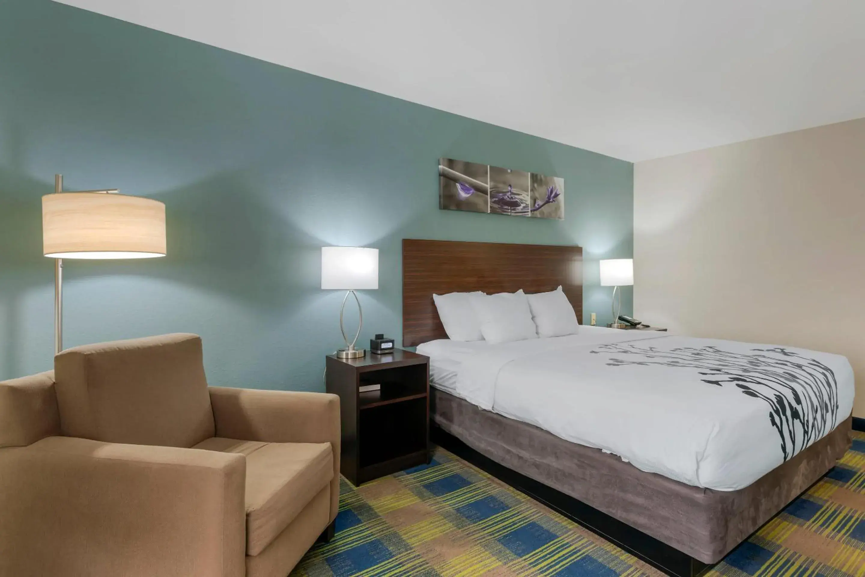 King Room in Sleep Inn & Suites Smyrna - Nashville Area King Room in Sleep Inn & Suites Smyrna - Nashville Area