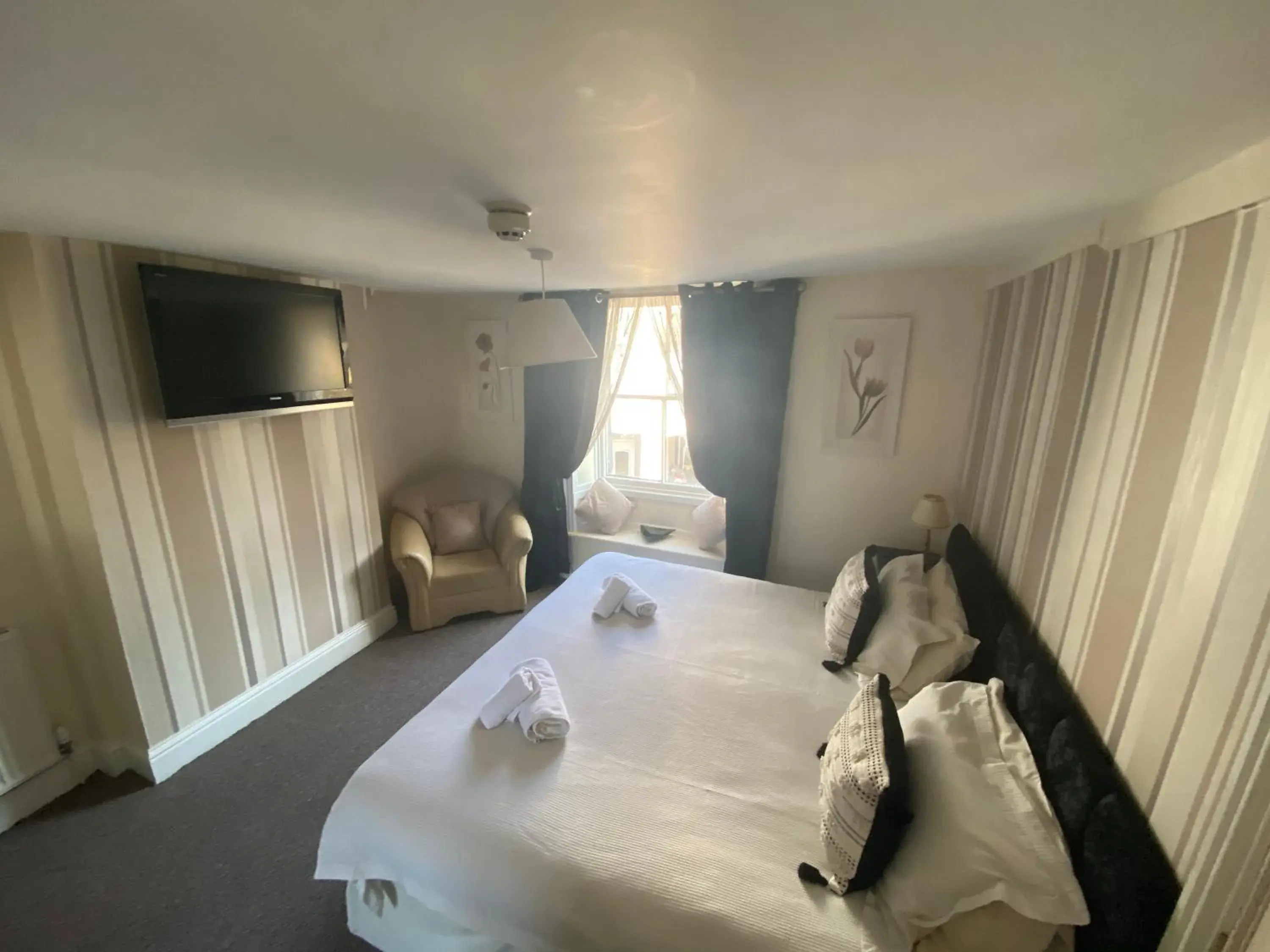 Large Double Room - single occupancy in The Queens Large Double Room - single occupancy in The Queens