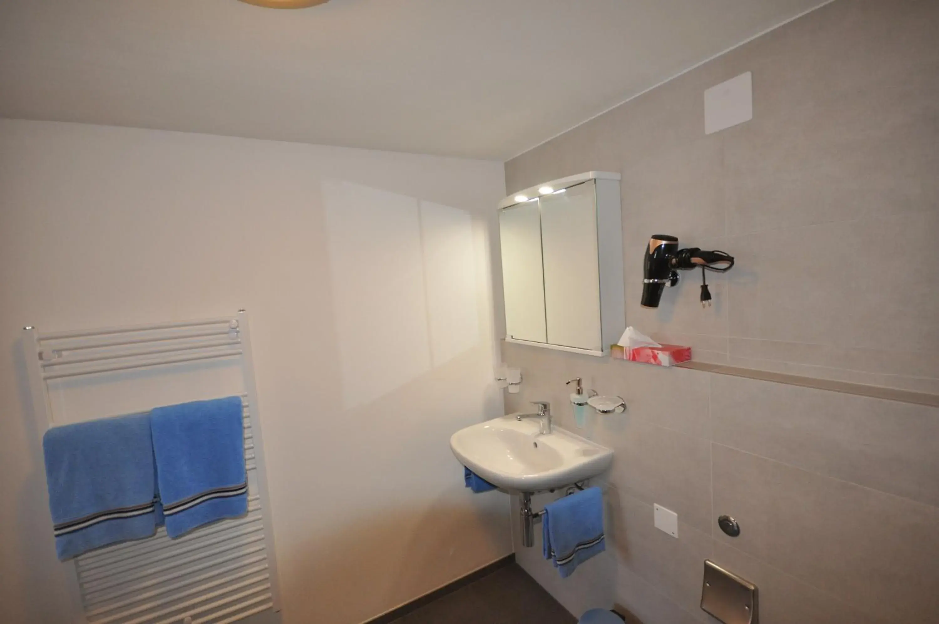 Deluxe Double Room with Shower - single occupancy in Gasthaus Waldheim Deluxe Double Room with Shower - single occupancy in Gasthaus Waldheim